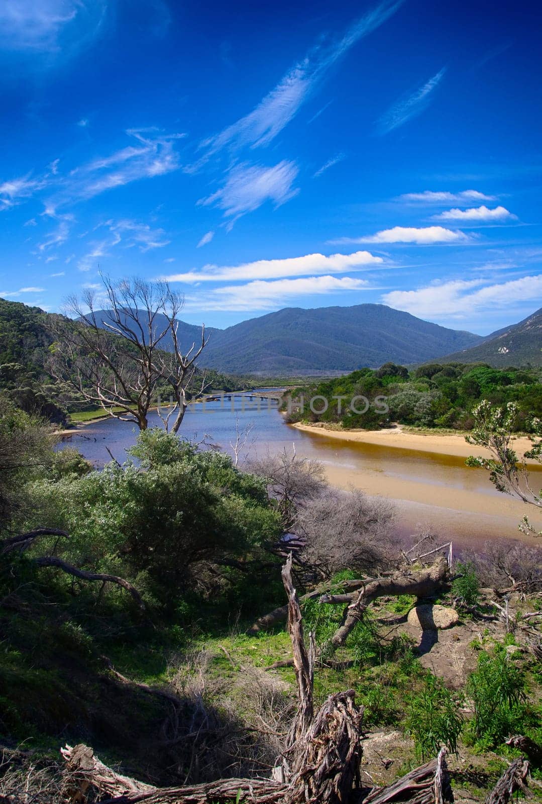 landscape of wild river in Australia