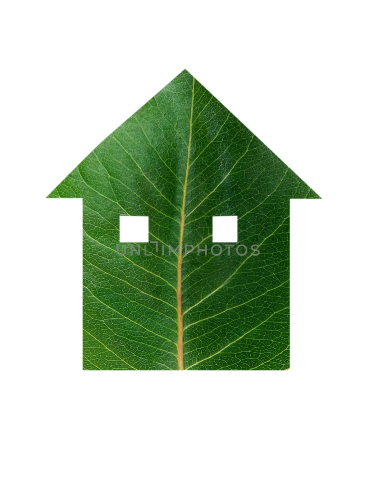 leaf in house shape. green life concept