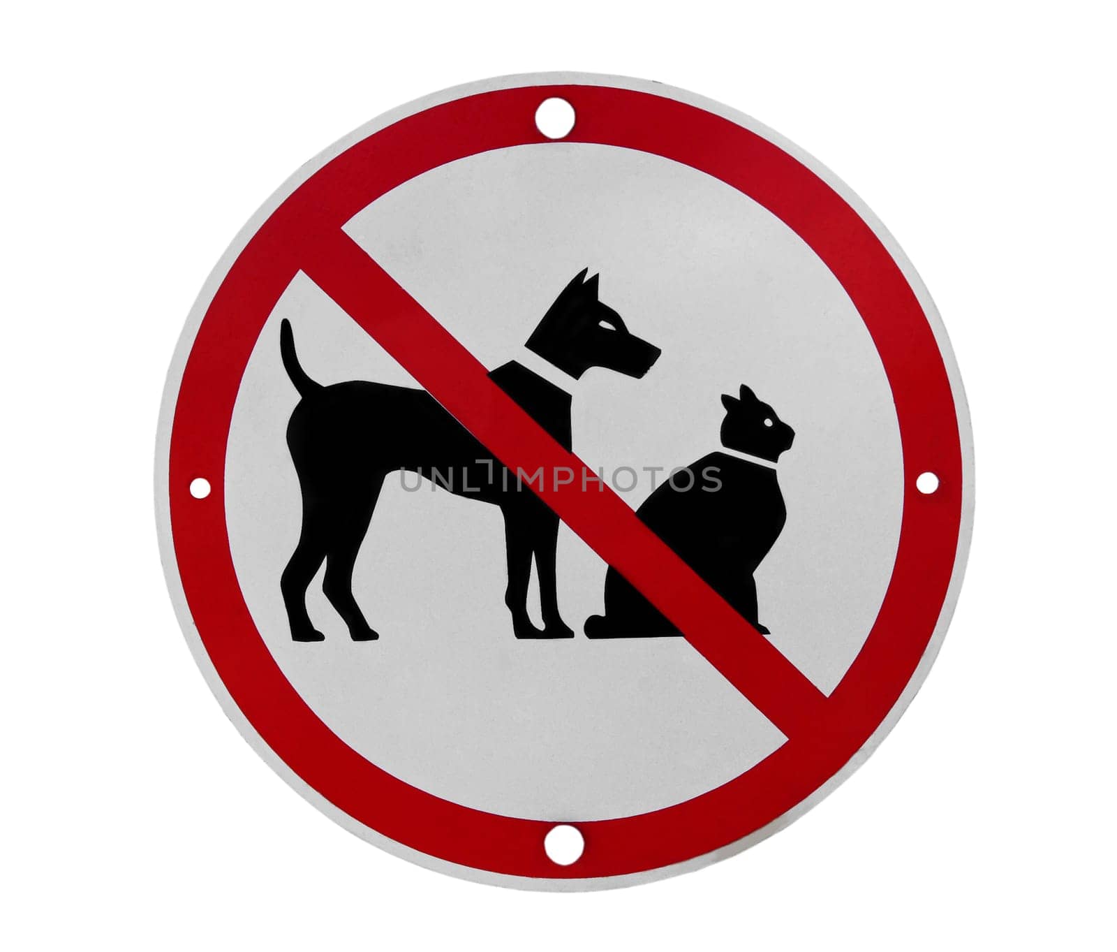 road sign saying no dogs or cats