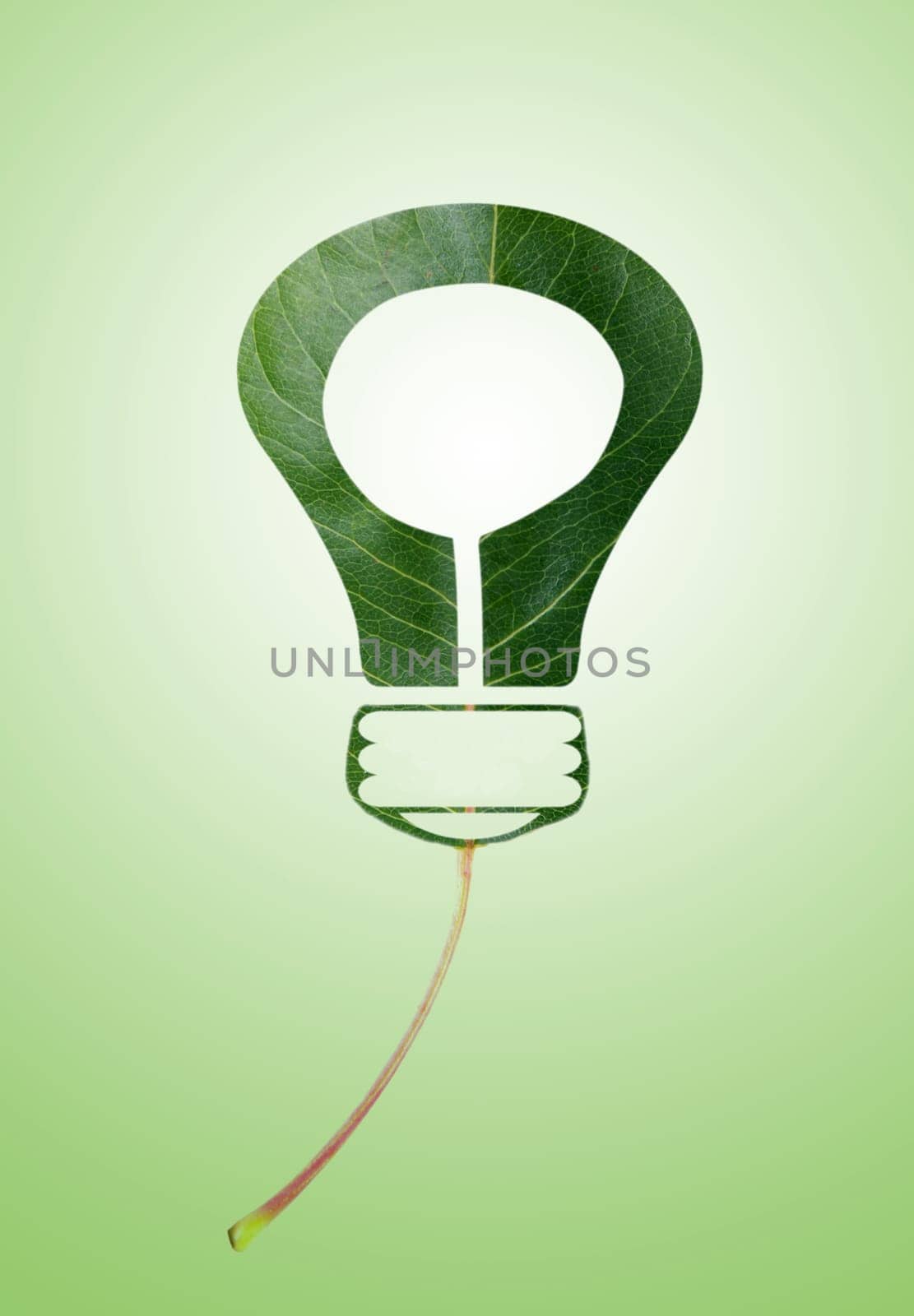 eco concept. green lamp made from leaf