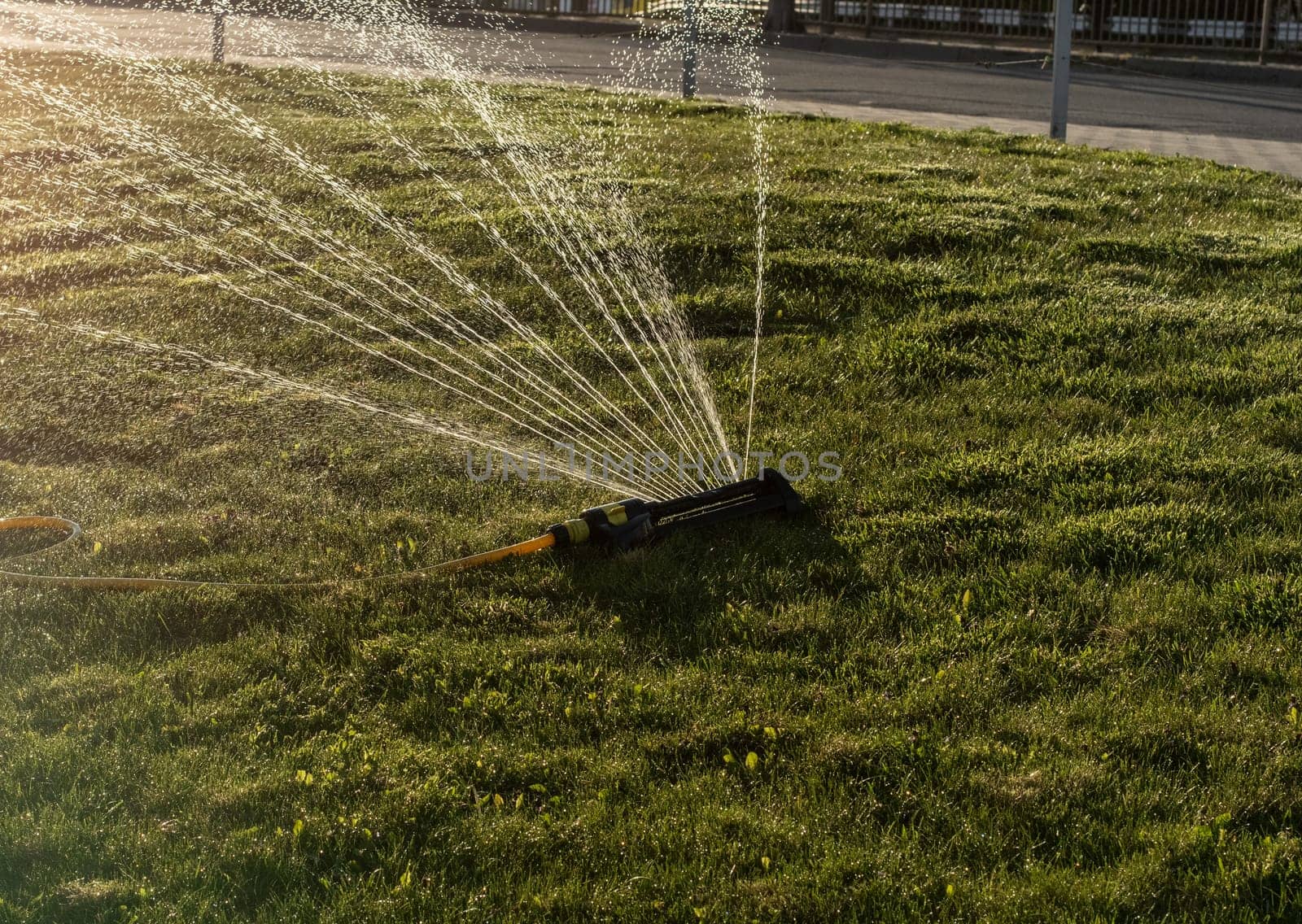 Portable, water efficient an oscillating sprinkler with metal arm sprays out a fan of water to the grass area in public streets. Watering lawn in city by an adjustable oscillating sprinkler in summer