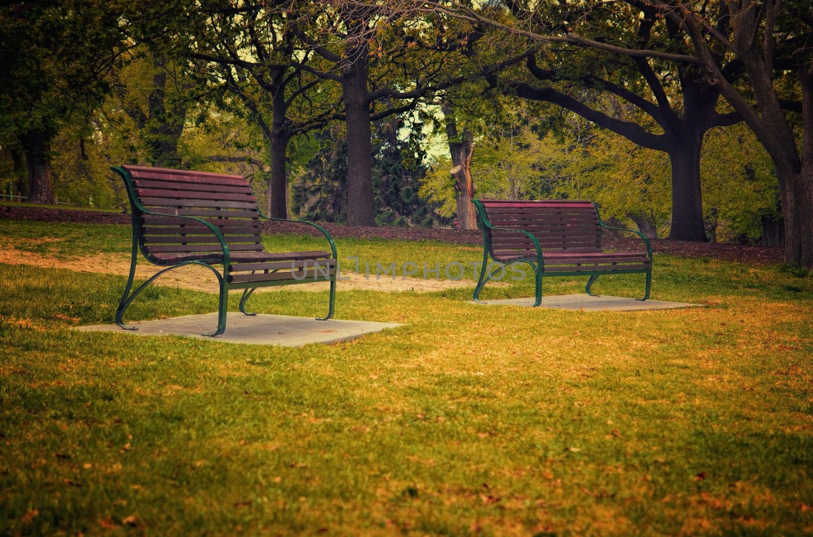 benches in the park. shallow DOF