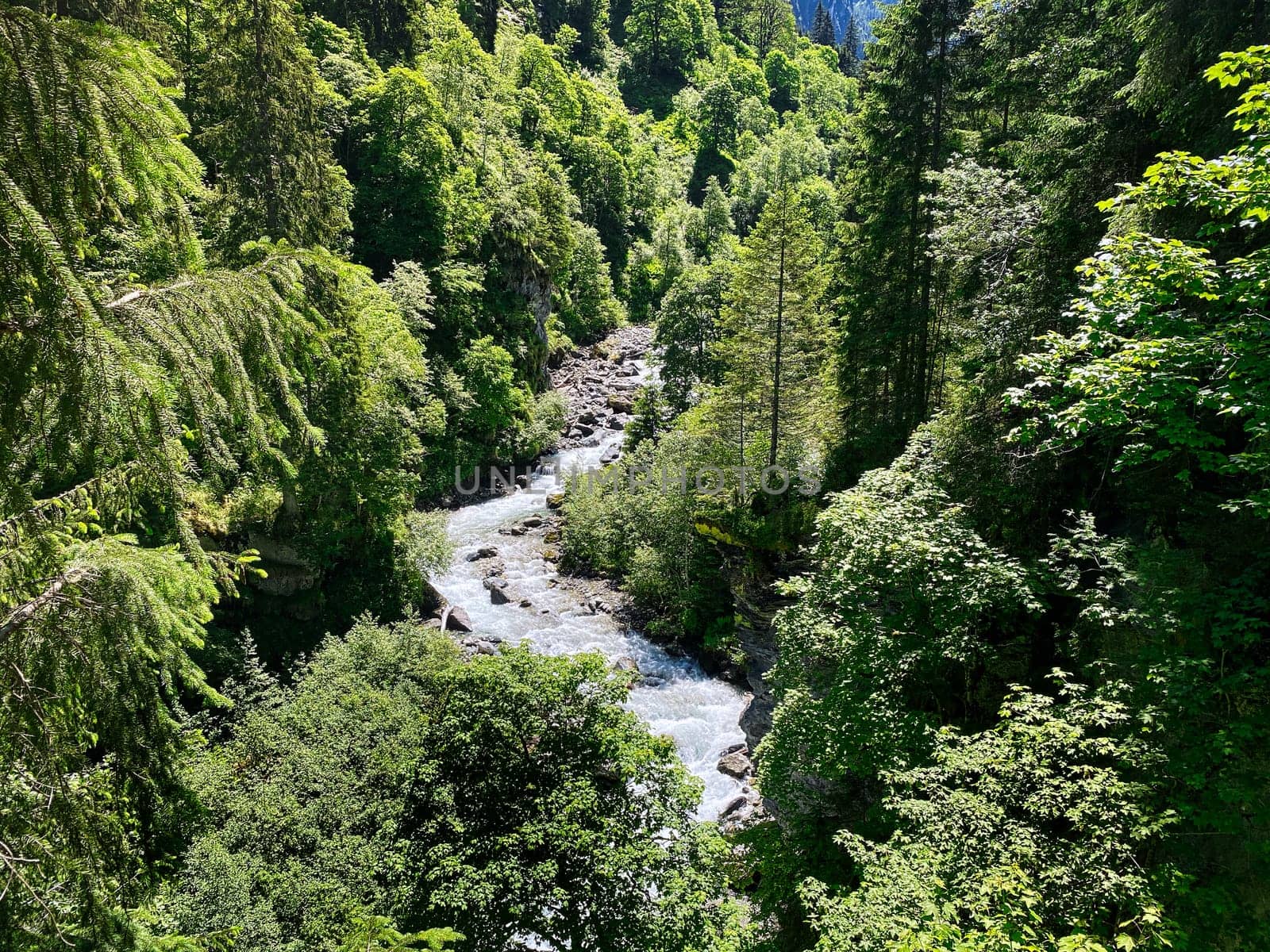 Mountain Stream European Alps, beautiful landscape of river Habach in Habachtal in Salzburger Land