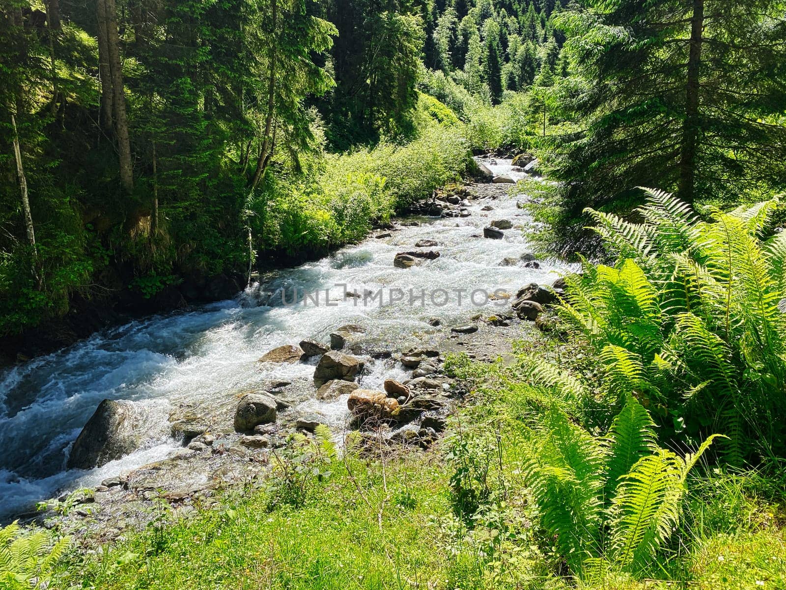 Mountain Stream European Alps, beautiful landscape of river Habach in Habachtal in Salzburger Land