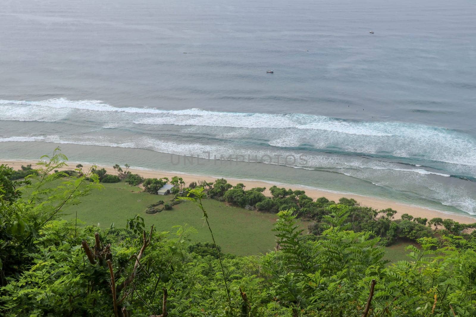 A high cliff off the coast of the Indian Ocean on Bali Island overgrown with dense tropical vegetation. Rainforest at Nyang Nyang beach in Indonesia. Coconut palms lining the foot of a steep slope.