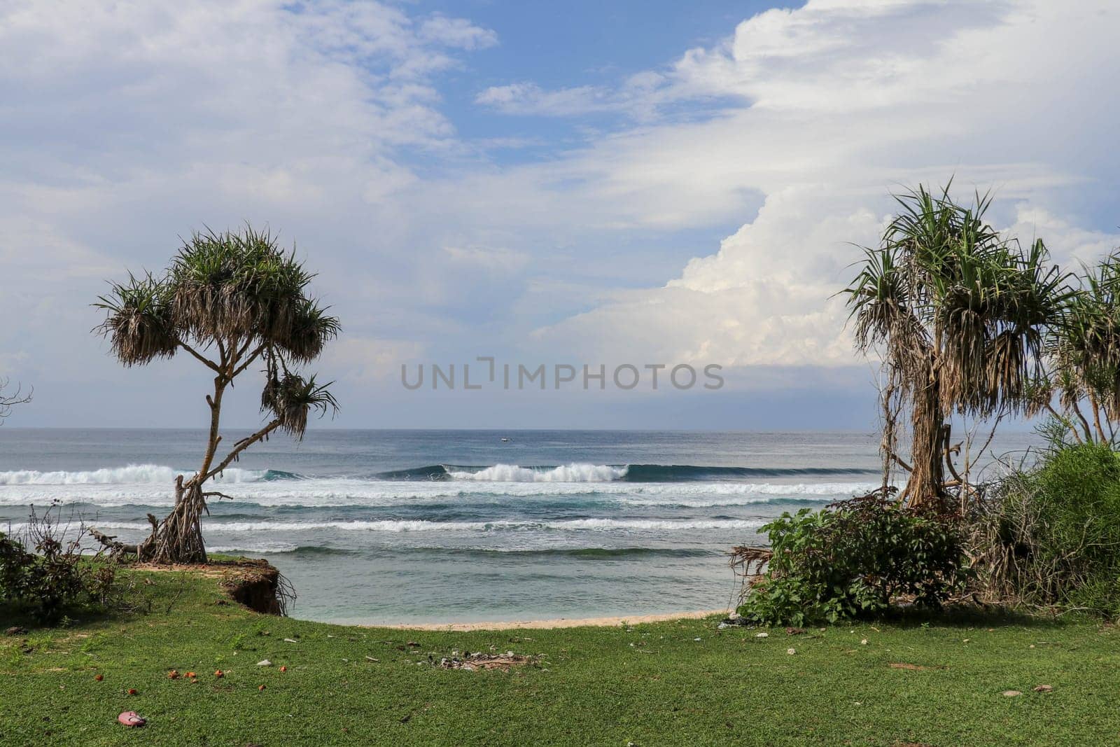Green pasture with many cow shit at Nyang Nyang beach on Bali island, Indonesia. Green meadow off the coast of the Indian Ocean. In the background the sea with high waves breaking off the coast.