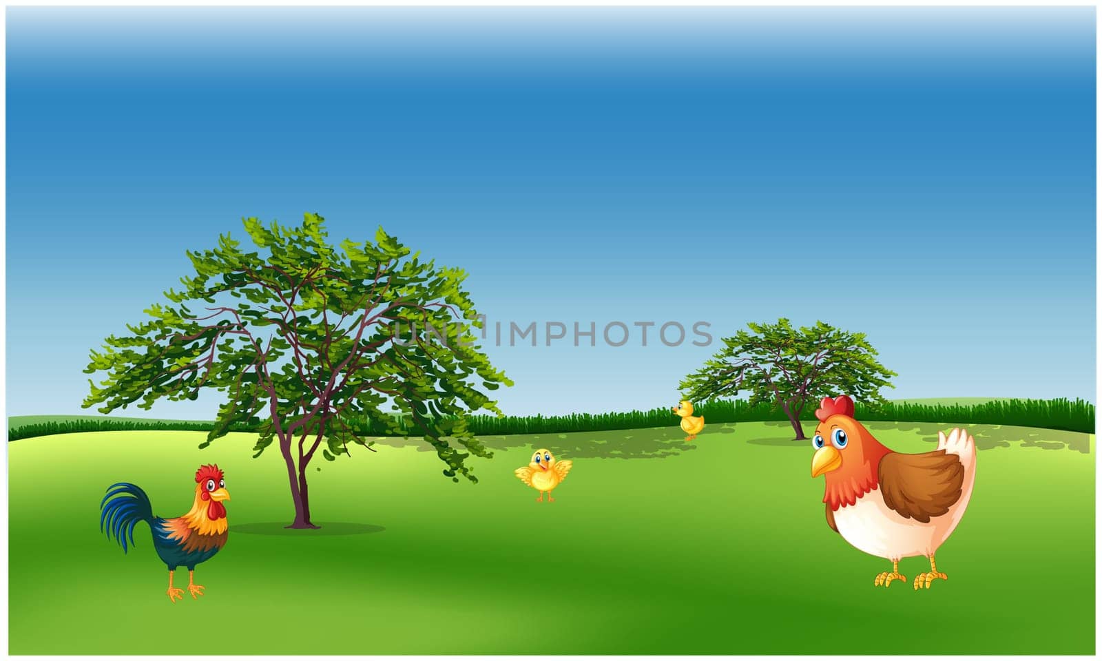 animals are playing in the gardens