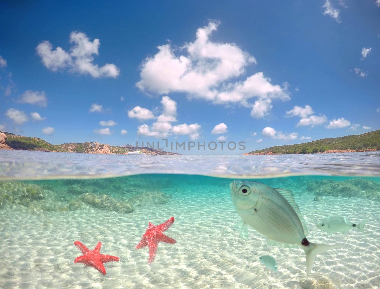 turquoise ocean with underwater view, Tropical sea with island and fish, holday and vacation concept