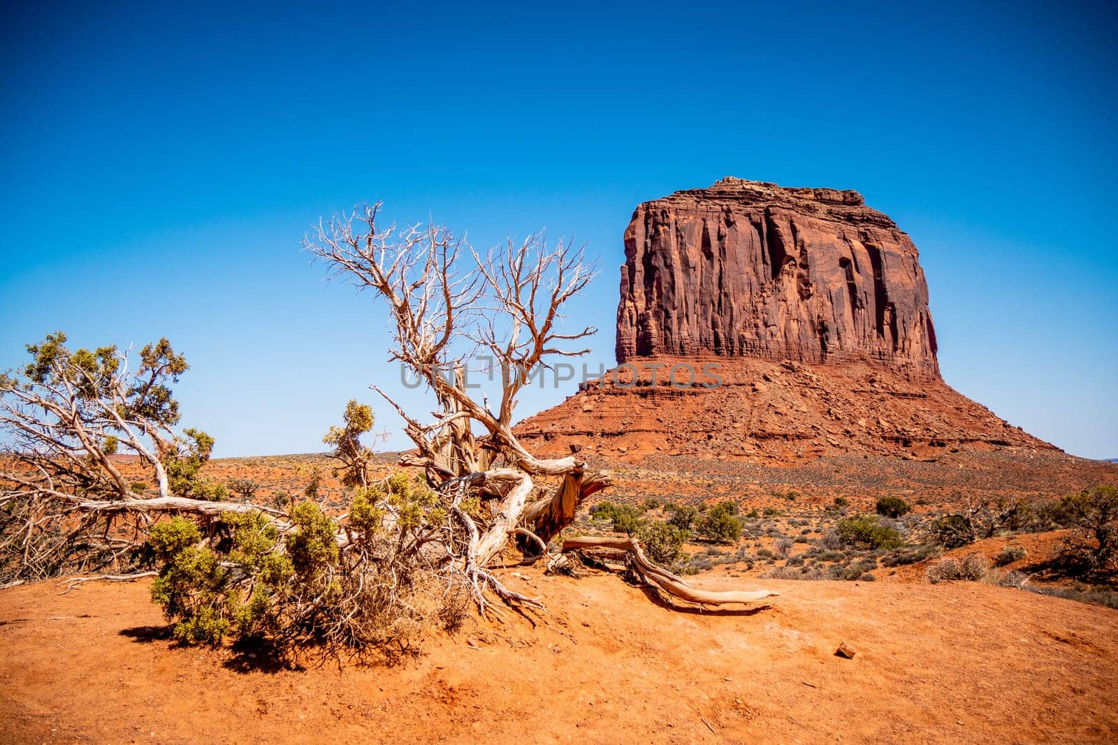 Monument Valley in Utah Oljato - travel photography