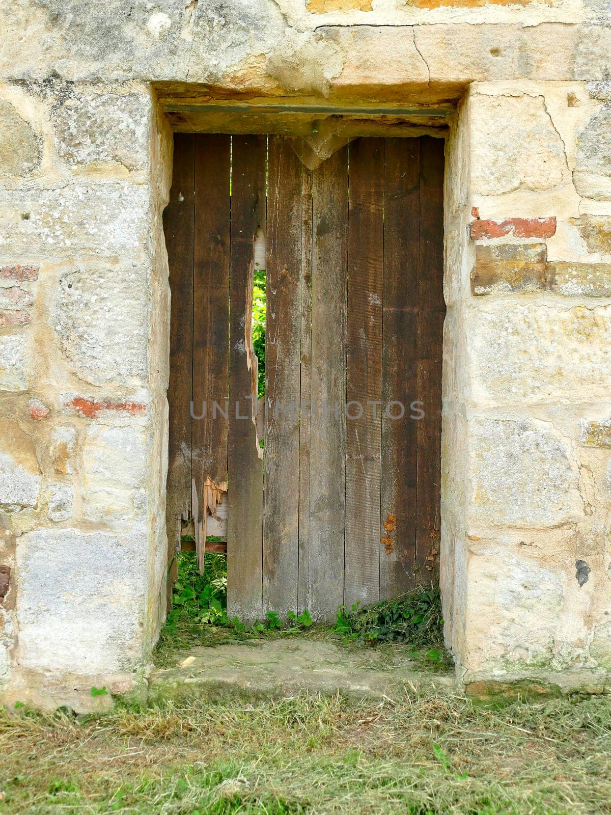 Old wooden door in an medieval abbey wall