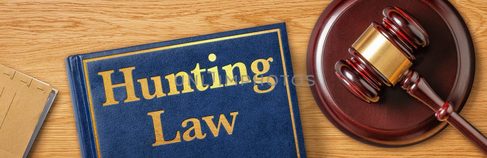 A gavel with a law book - Hunting Law