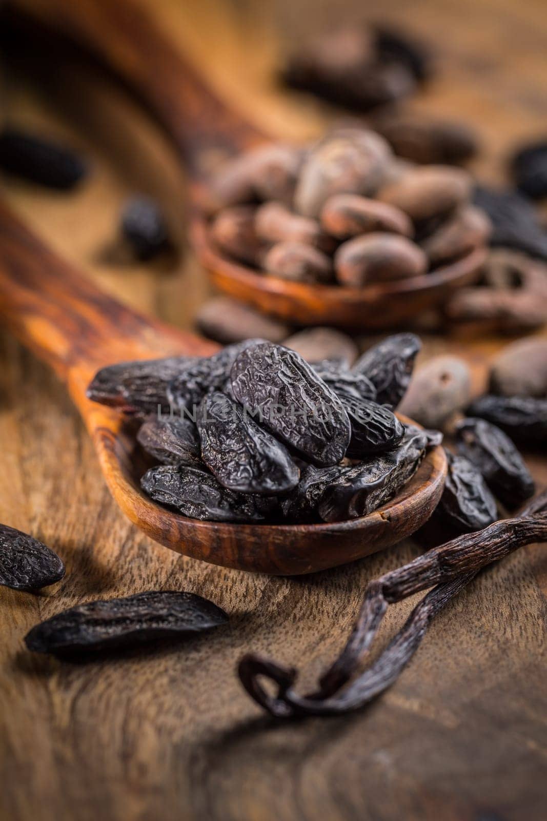 Fragrant tonka and cocoa beans with vanilla beans for baking and cooking on dark background
