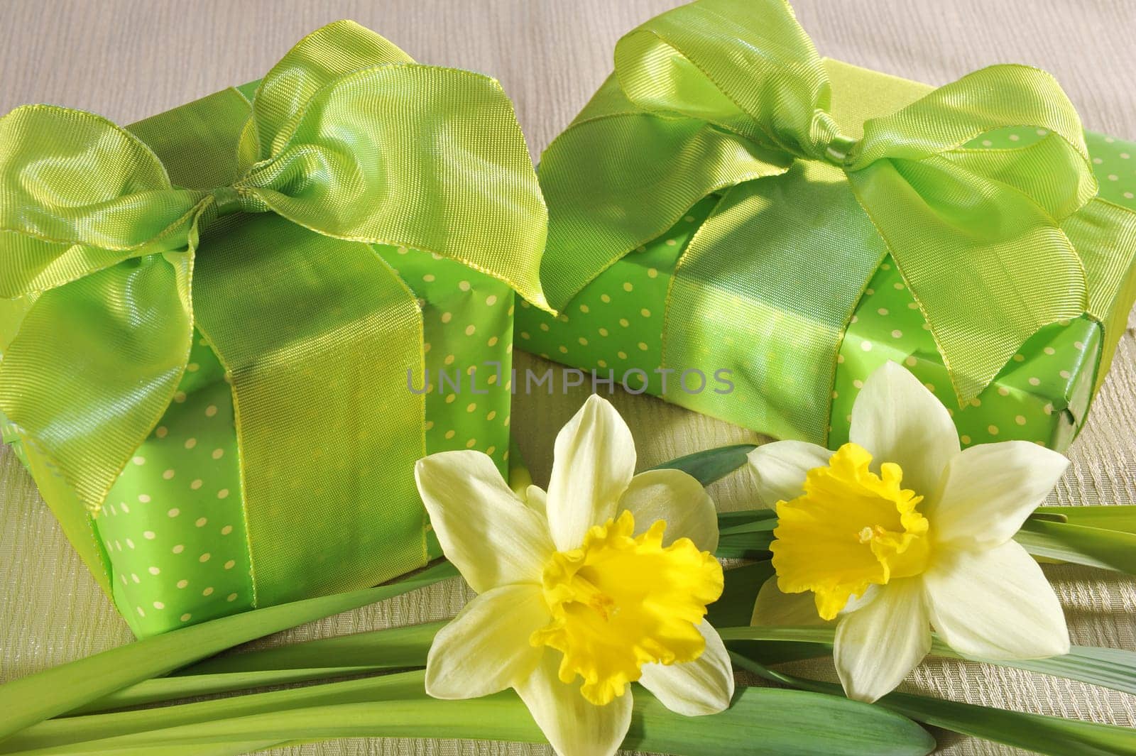 Two green Mother's Day gifts with daffodils on tablecloth