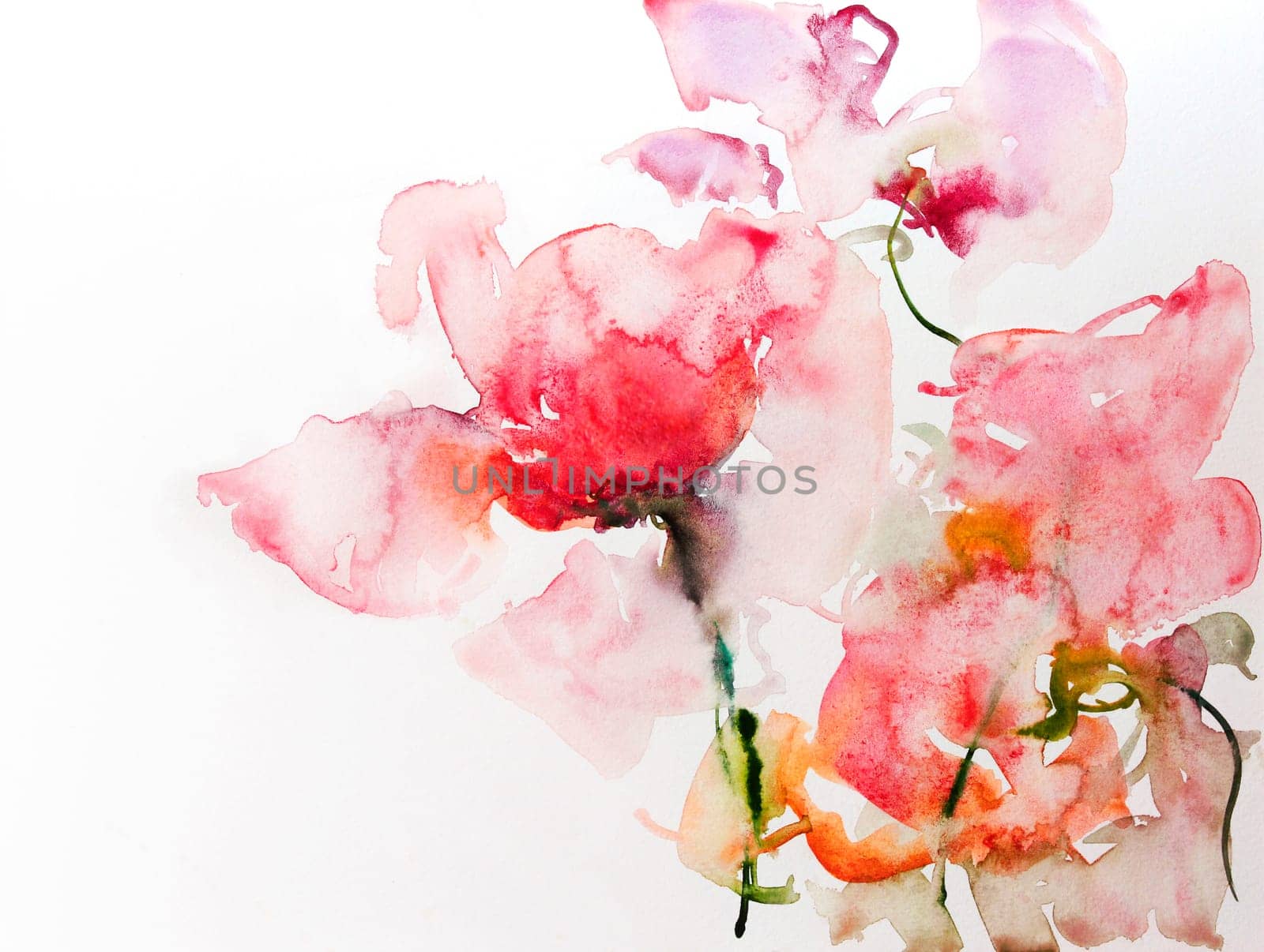 roses watercolor paper white