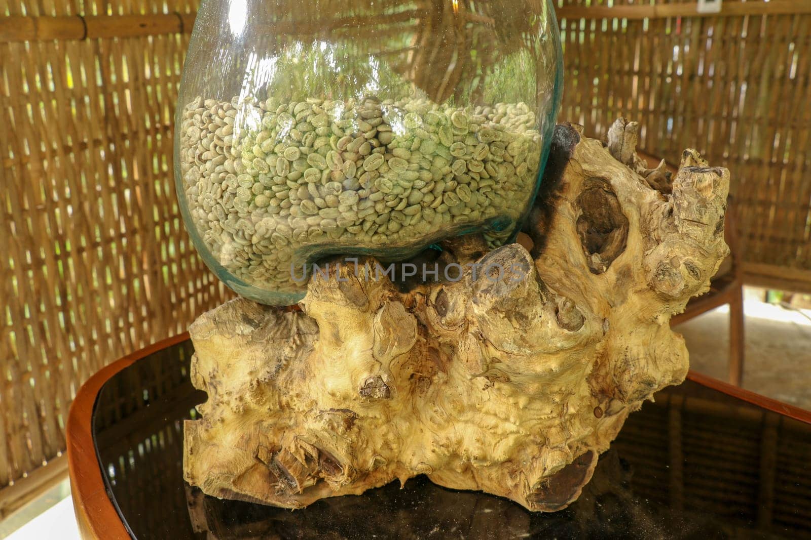 Coffee Arabica beans in a glass ornamental jar placed on an abstract tree root. Close-up of dried coffee beans in glass jar, ready for roasting process in coffee farm in Bali, Indonesia