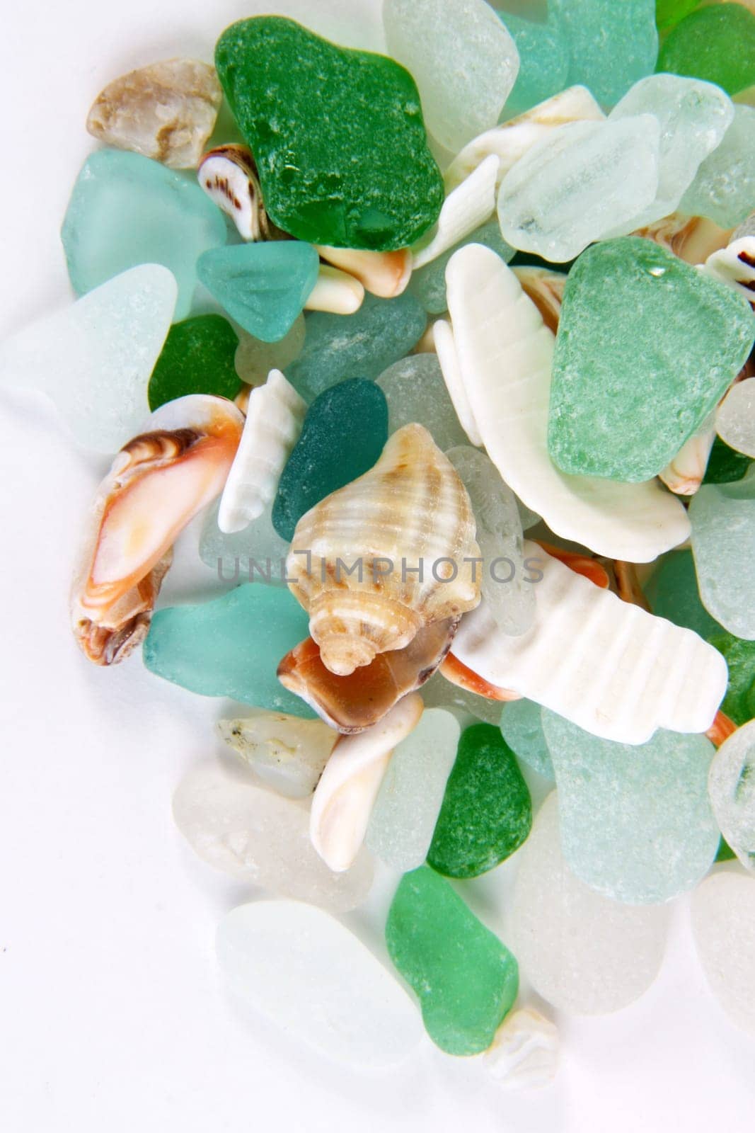 Sea finds. Sea glass and shells on white