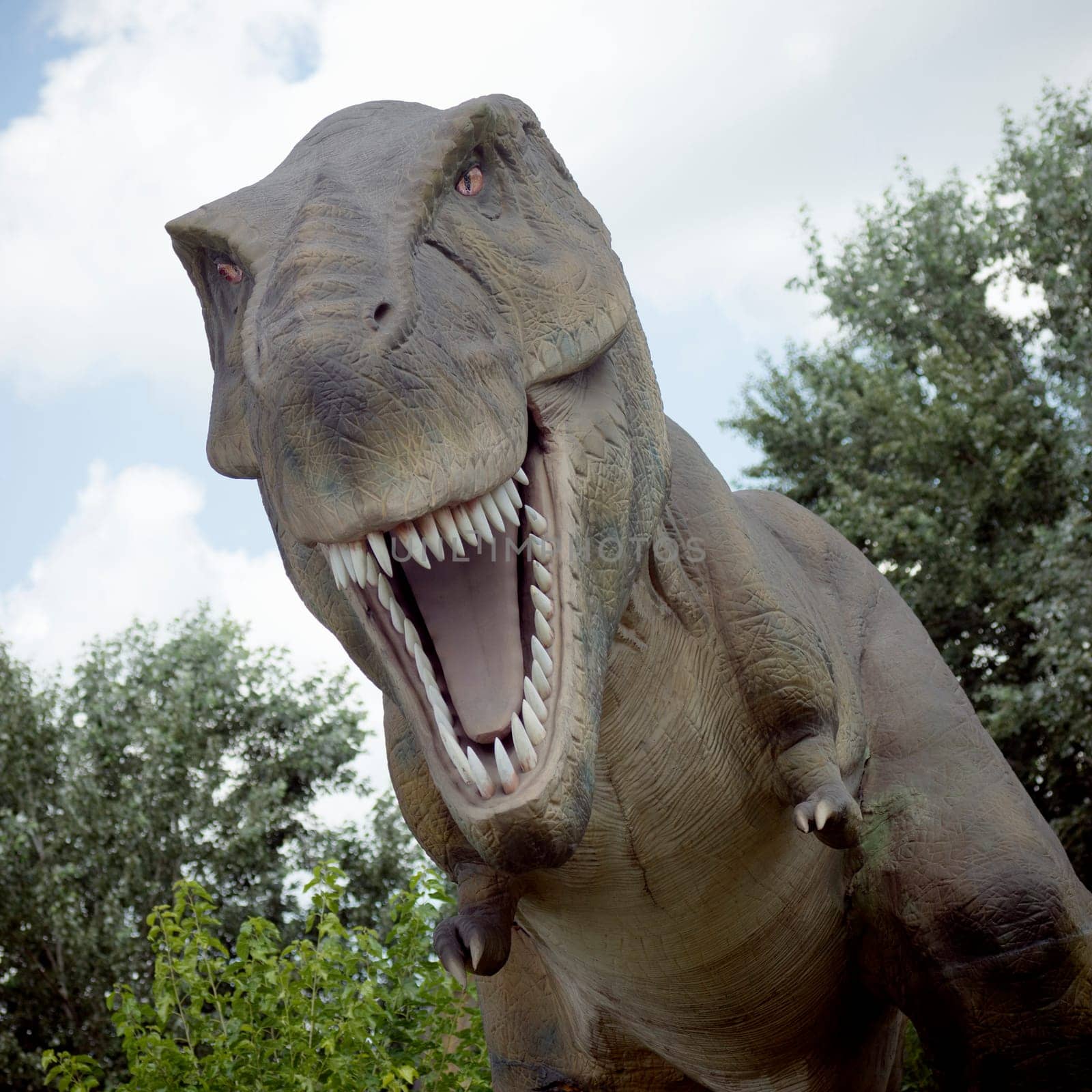 Tyrannosaurus rex dinosaur predator extinct animal is opening mouth in nature.