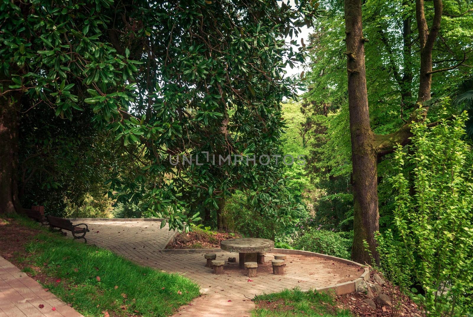 Botanical gardens in Batumi.Georgia