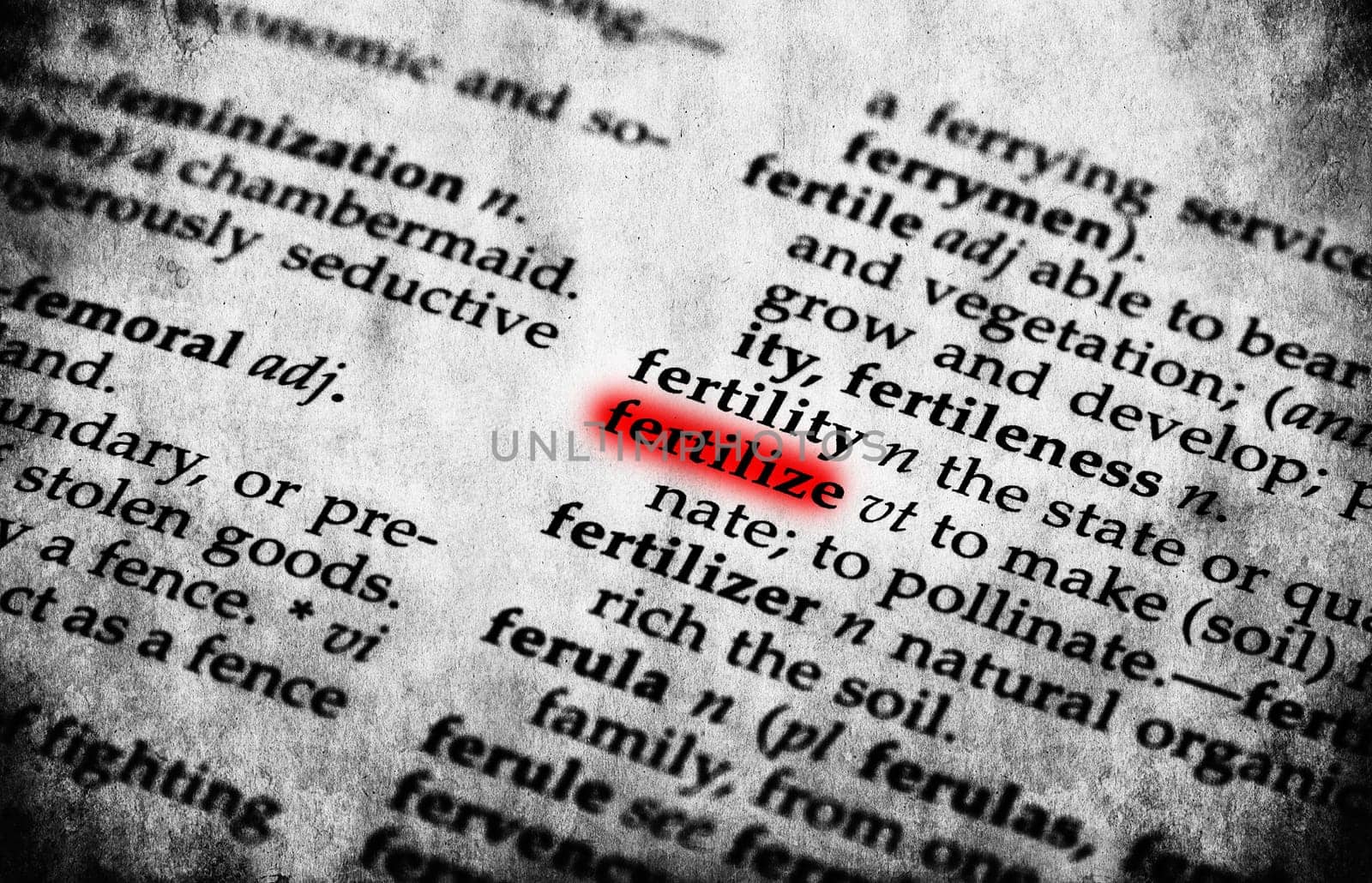 Fertility word in old textured dictionary