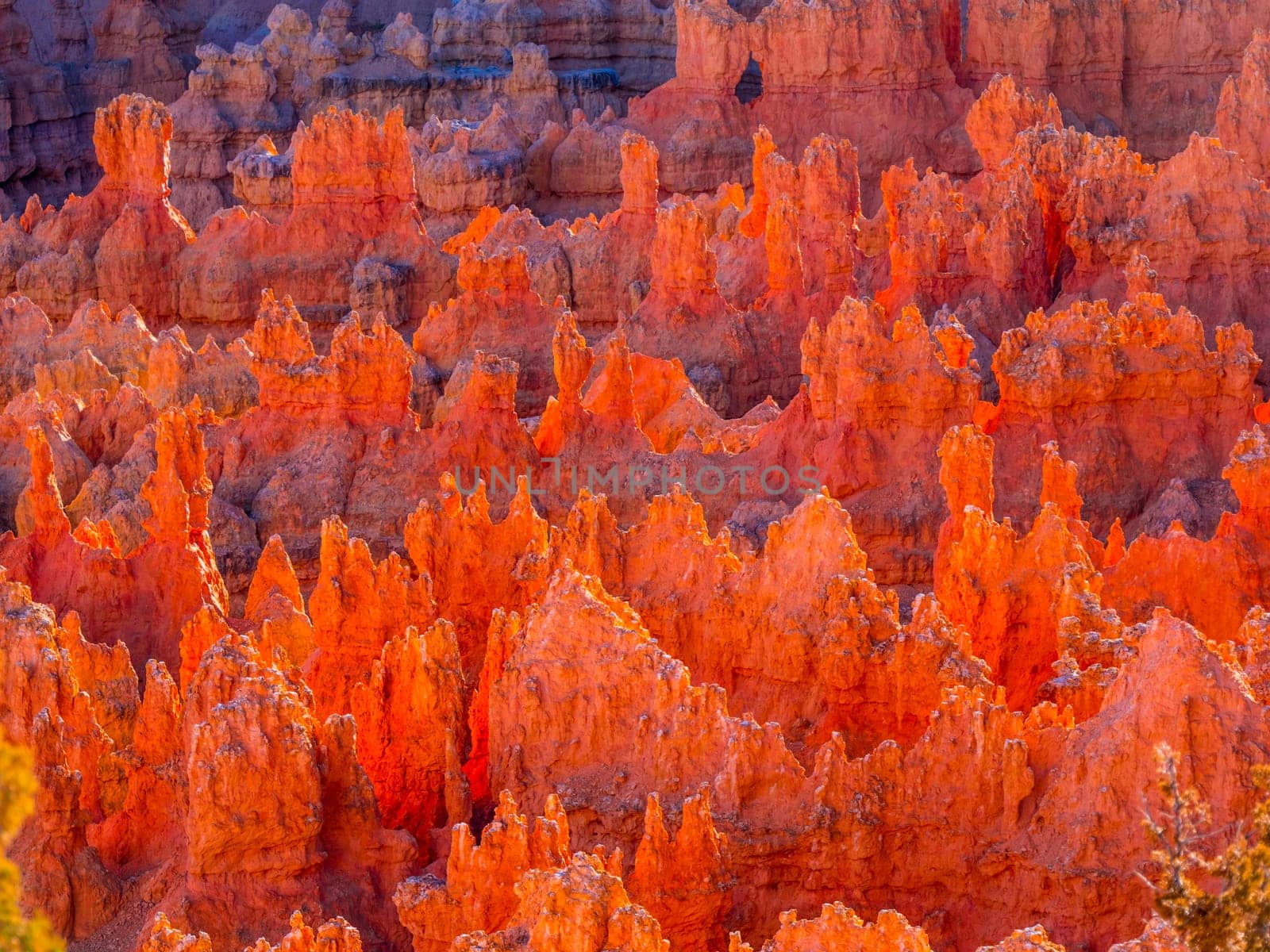 Wonderful Scenery at Bryce Canyon National Park in Utah - USA 2017