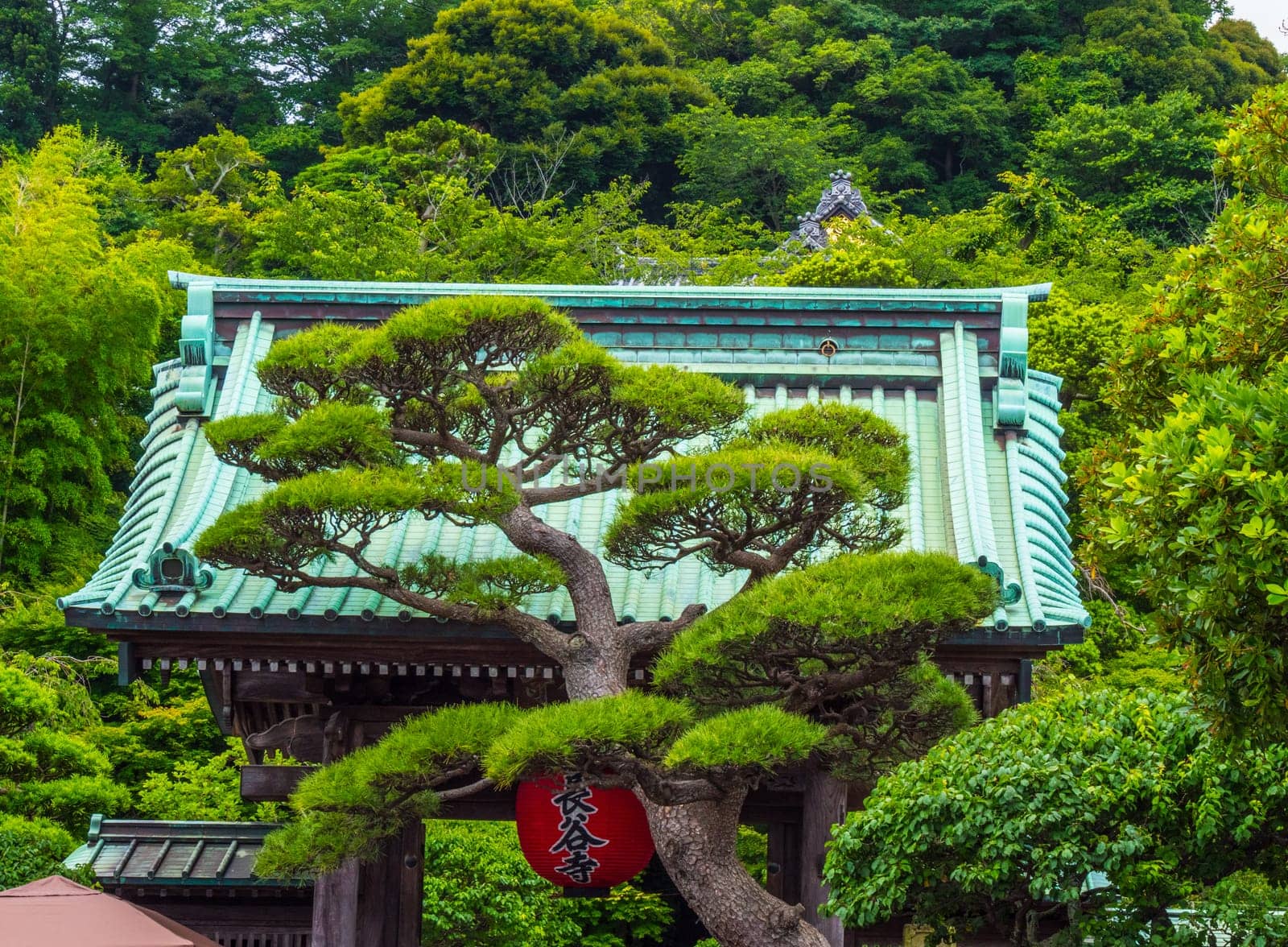 Famous Hase Dera Temple in Kamakura Japan