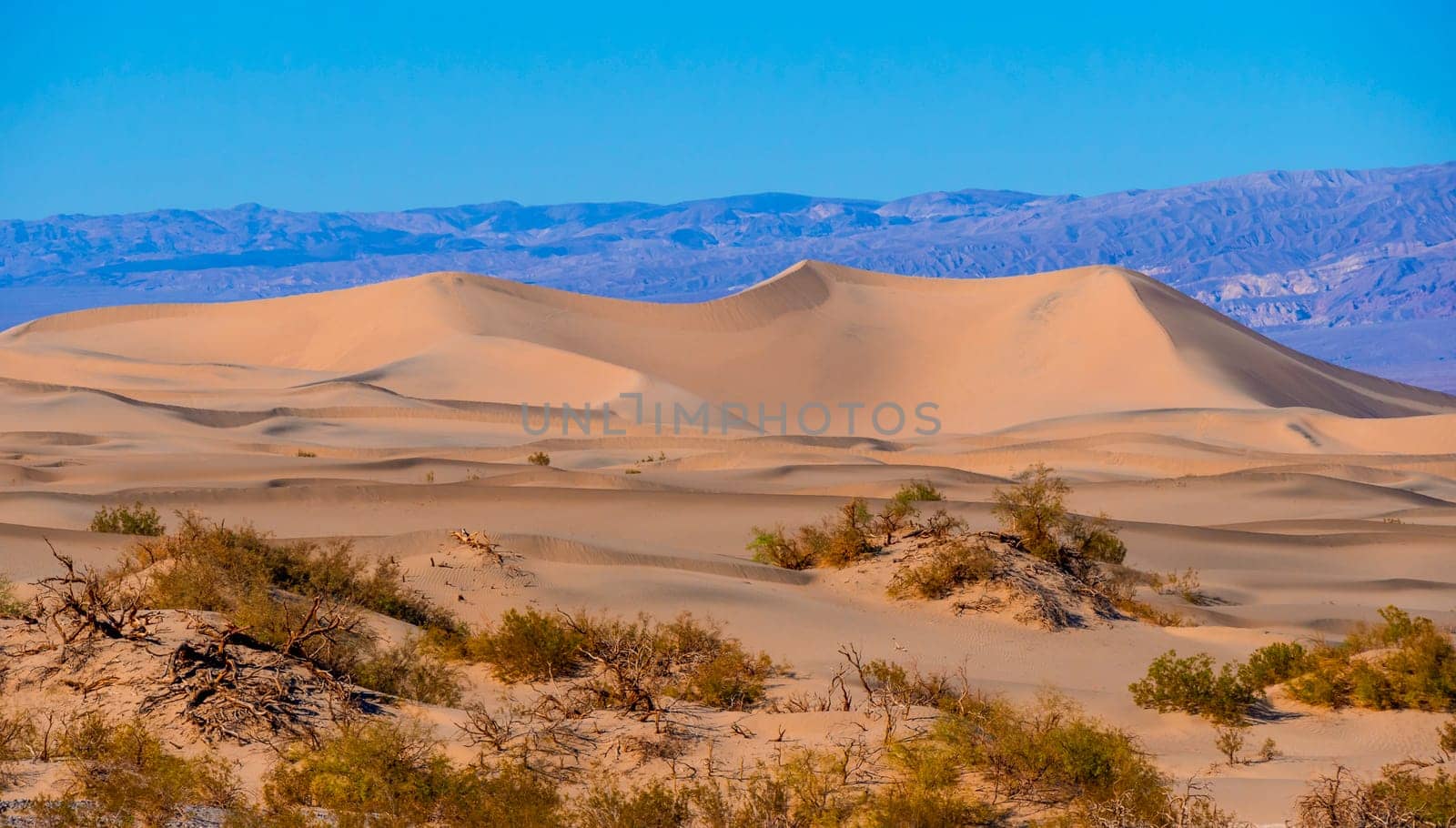 Beautiful Mesquite Sand Dunes at Death Valley California - USA 2017