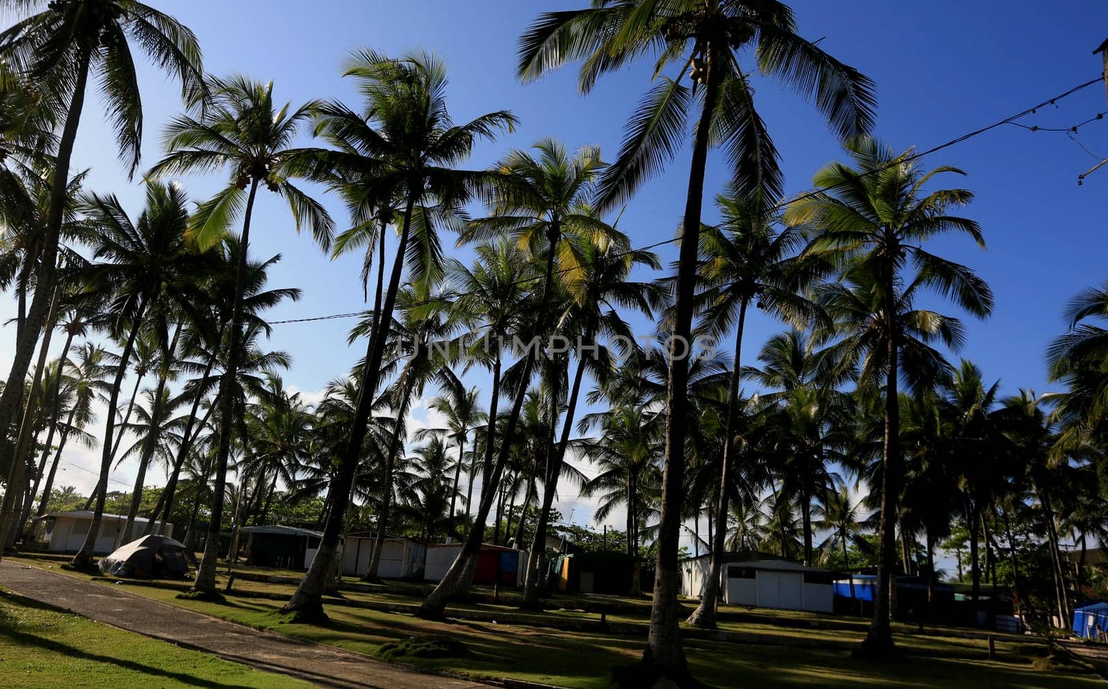 salvador, bahia / brazil - september 22, 2015: Internal view of the Camping site in the Itapua neighborhood in the city of Salvador...