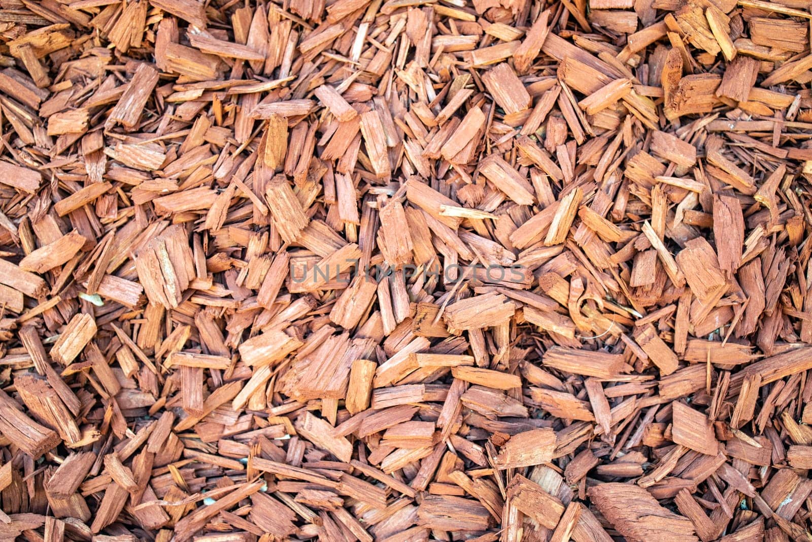 Shredded Bark Mulch in Detail Full Frame as Background