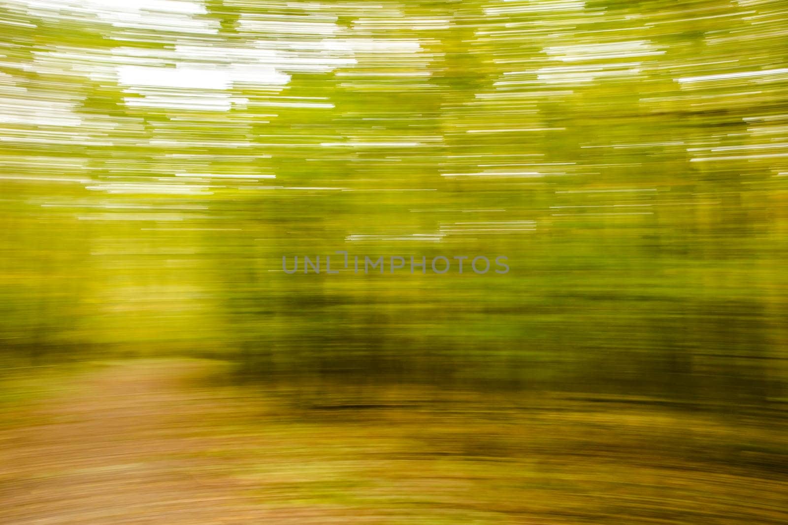 Motion blurred foliage and trees in autumn