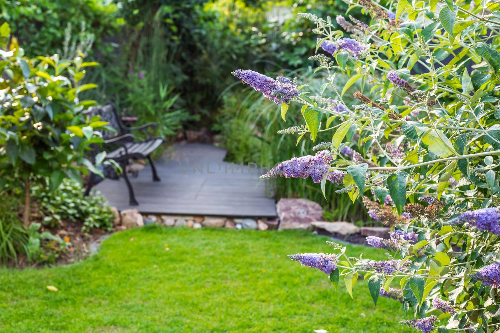 Landscape view of beautiful garden with freshly mowed lawn and flowerbed. Soft focus on foreground plants.