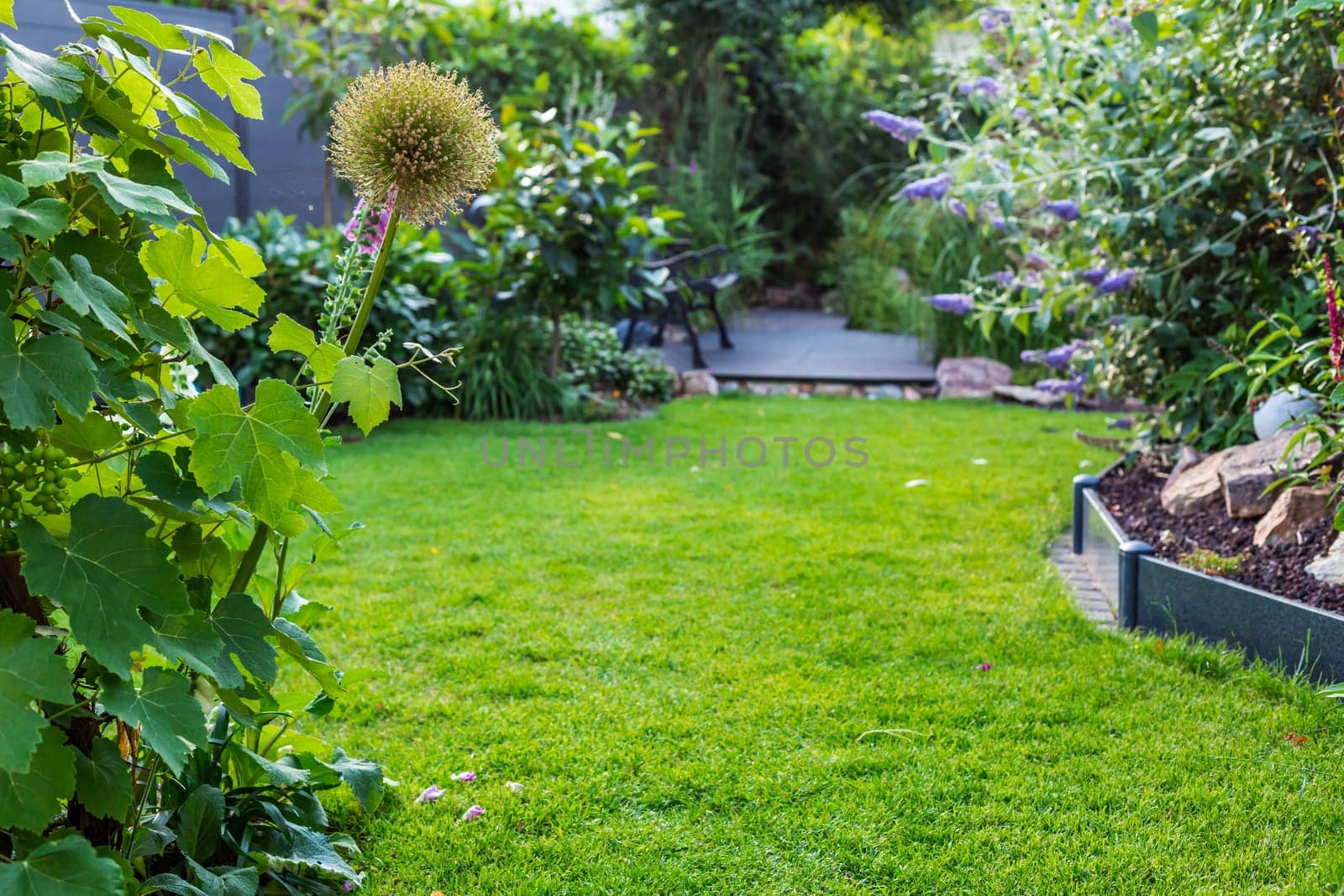 Landscape view of beautiful garden with freshly mowed lawn and flowerbed. Soft focus on foreground plants.