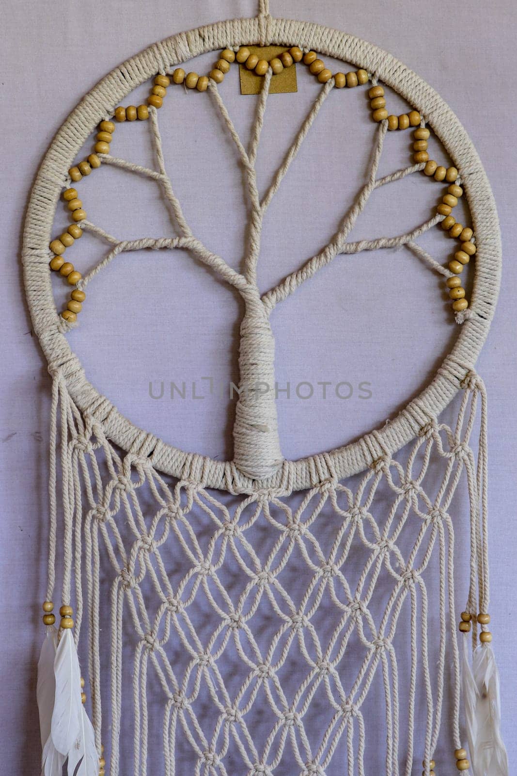 White dreamcatcher - Indian amulet that protects the sleeper from evil spirits and diseases.. The tree - symbol of life. White background.