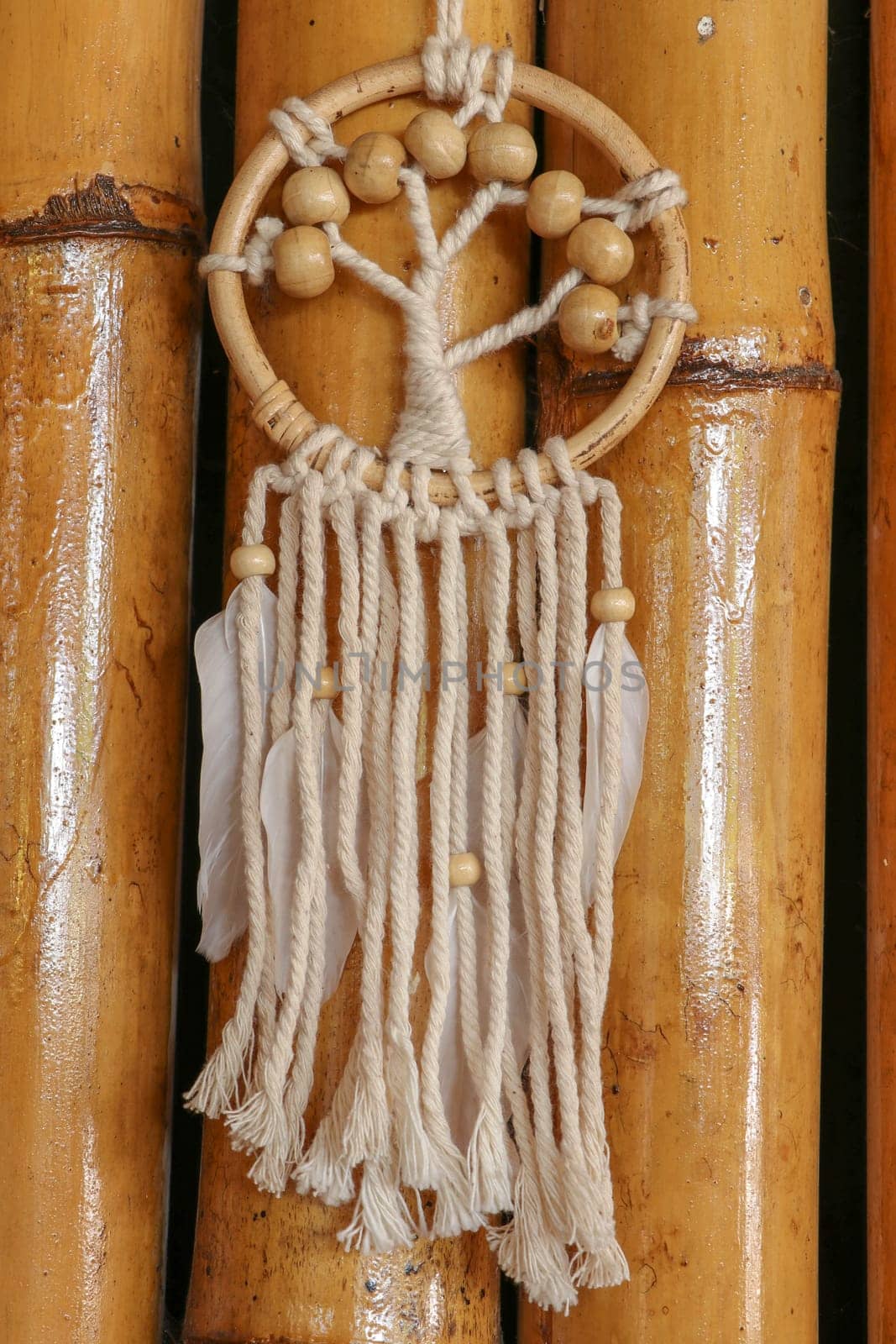White dreamcatcher - Indian amulet that protects the sleeper from evil spirits and diseases.. The tree - symbol of life. Dream catcher on bamboo background.