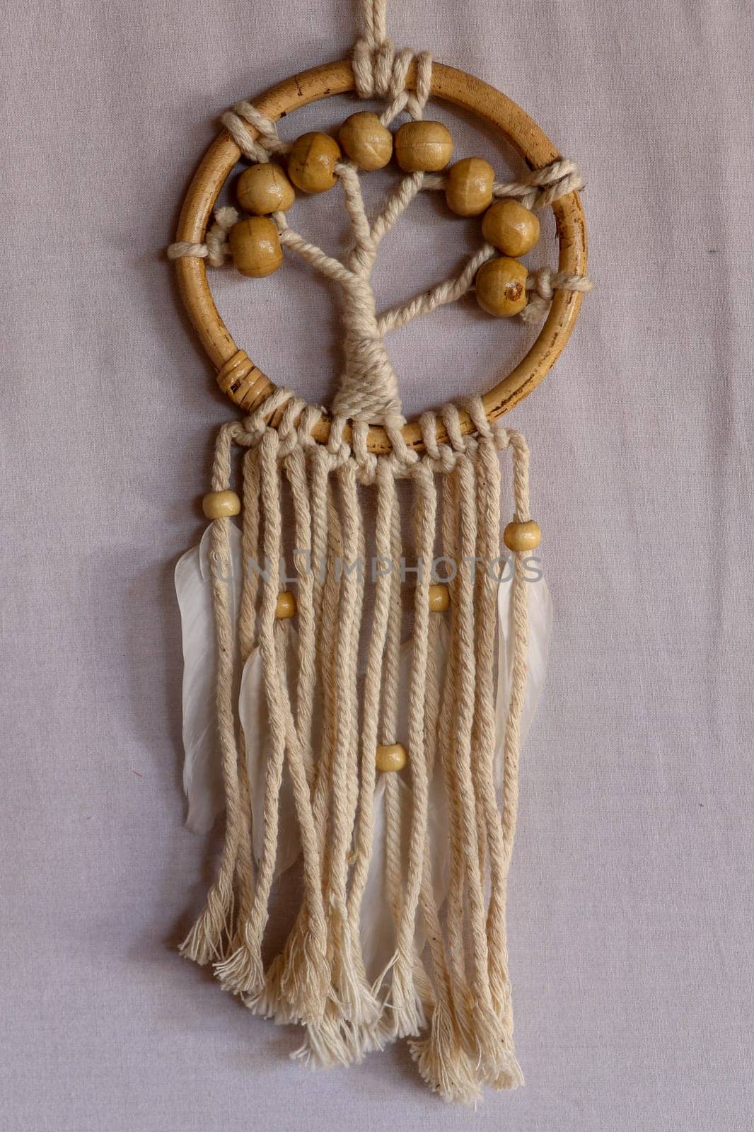 White dreamcatcher - Indian amulet that protects the sleeper from evil spirits and diseases.. The tree - symbol of life. White background.