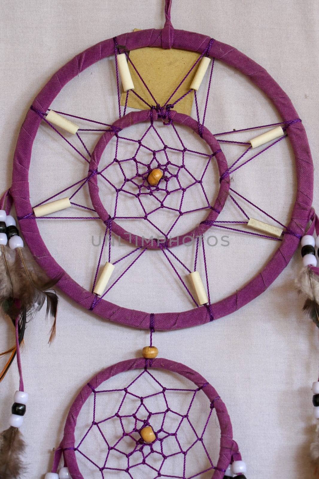 Red black and purple Dreamcatcher with bat made of feathers leather beads and ropes, hanging on the white background.
