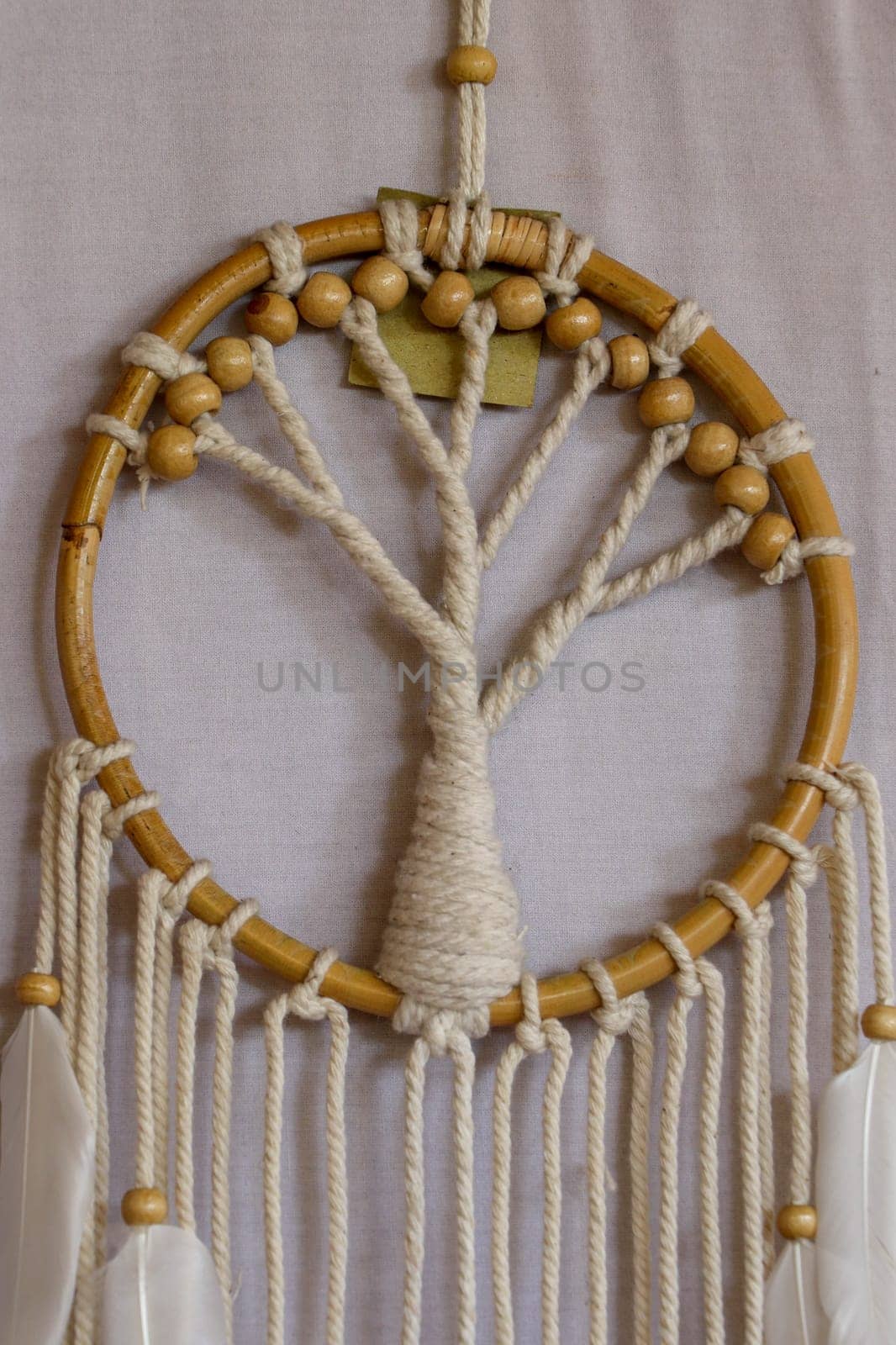 White dreamcatcher - Indian amulet that protects the sleeper from evil spirits and diseases.. The tree - symbol of life. White background.