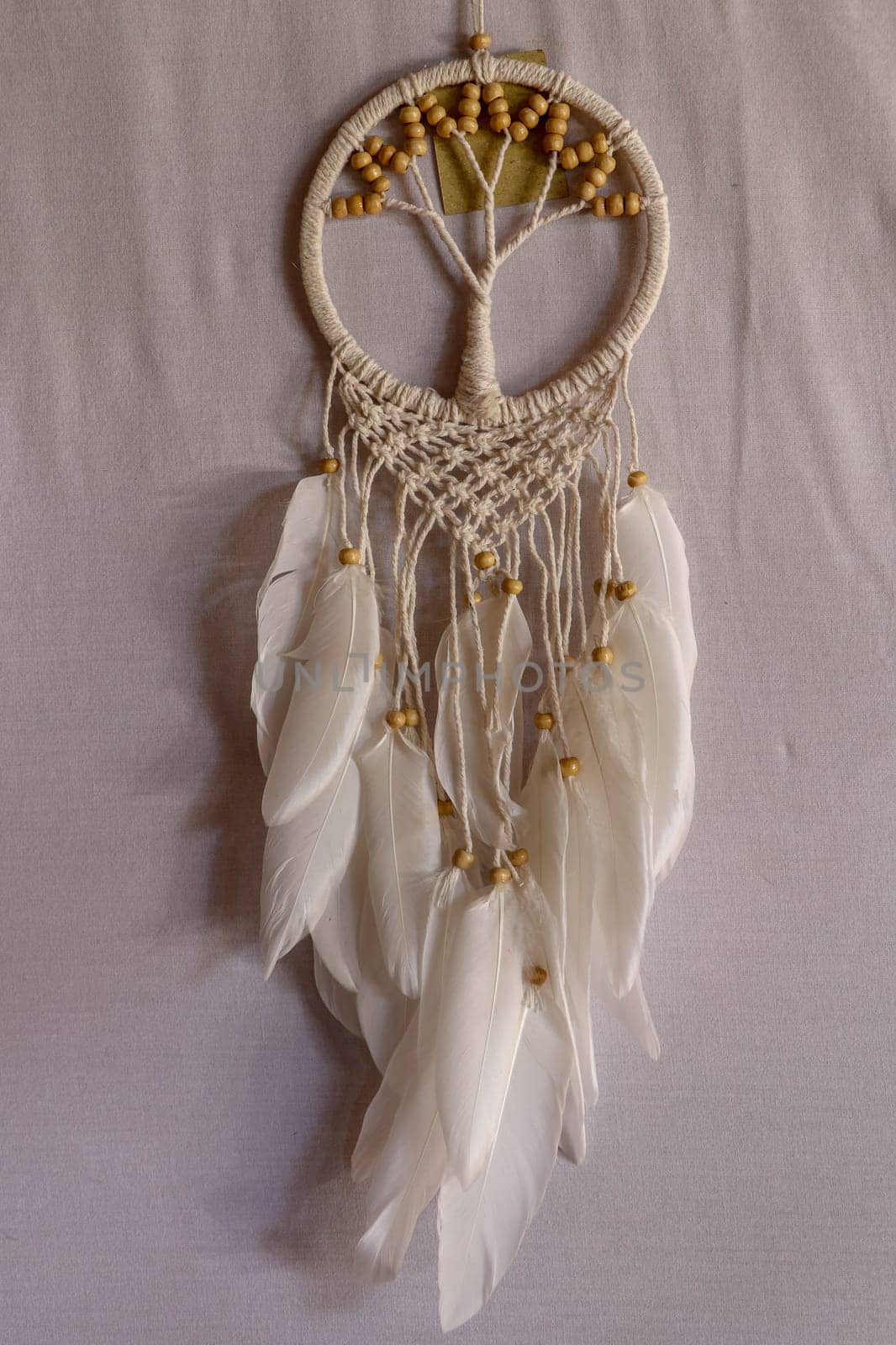 White dreamcatcher - Indian amulet that protects the sleeper from evil spirits and diseases.. The tree - symbol of life. White background.