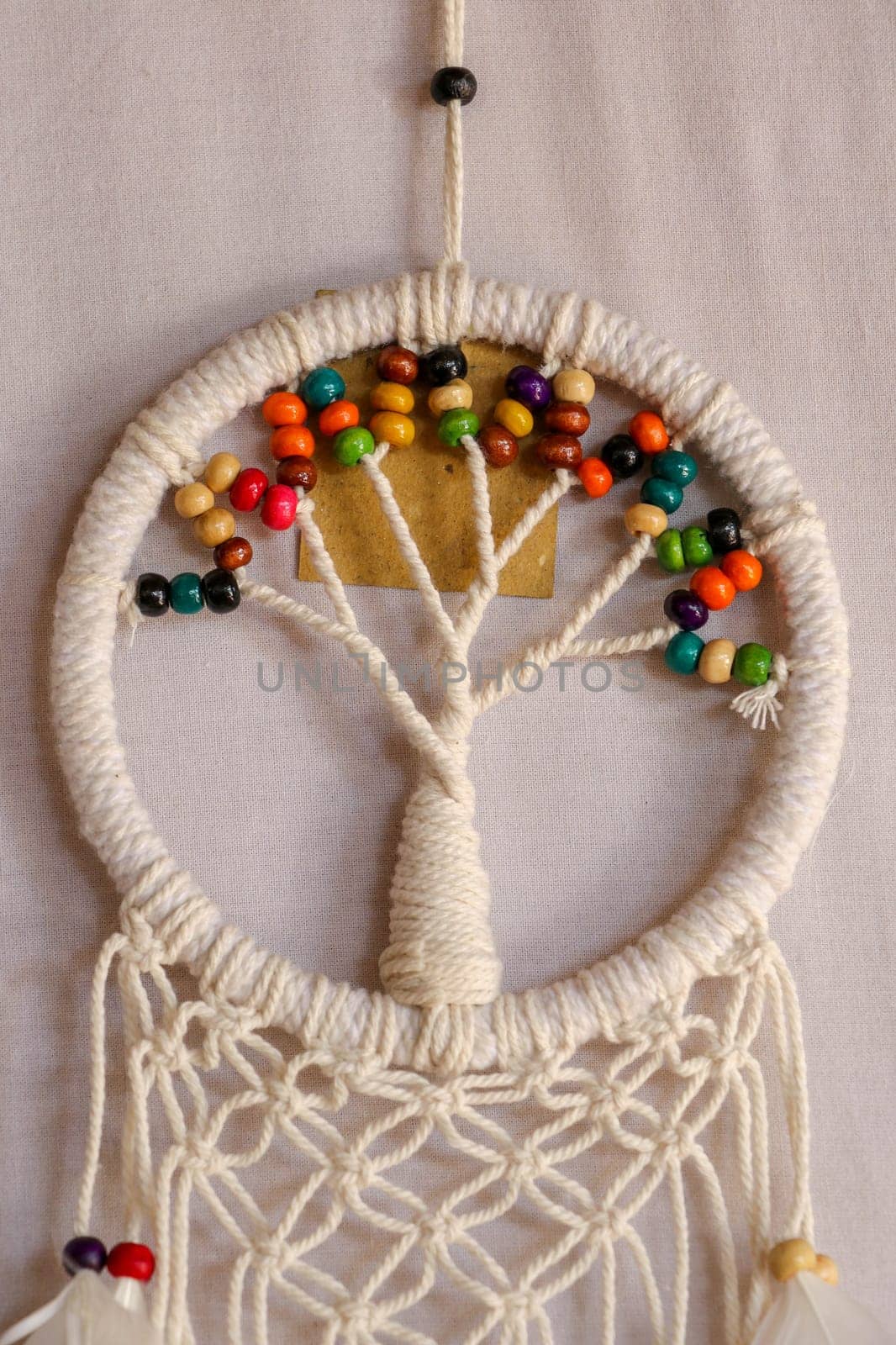 White dreamcatcher - Indian amulet that protects the sleeper from evil spirits and diseases.. The tree - symbol of life. White background.