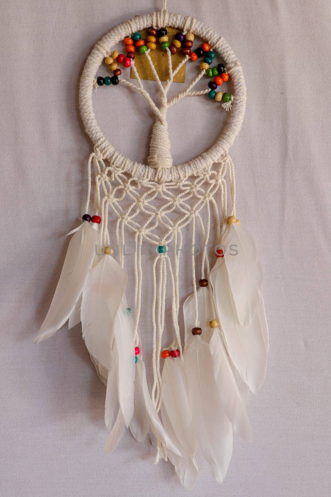White dreamcatcher - Indian amulet that protects the sleeper from evil spirits and diseases.. The tree - symbol of life. White background.