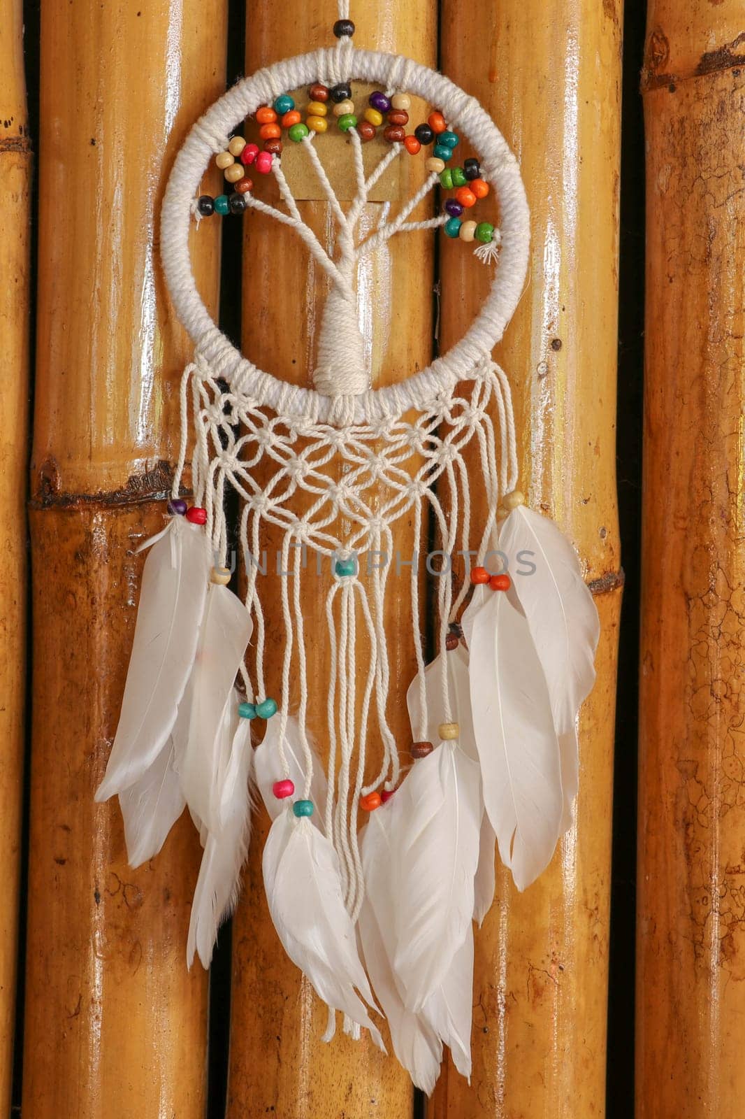 White dreamcatcher - Indian amulet that protects the sleeper from evil spirits and diseases.. The tree - symbol of life. Dream catcher on bamboo background.