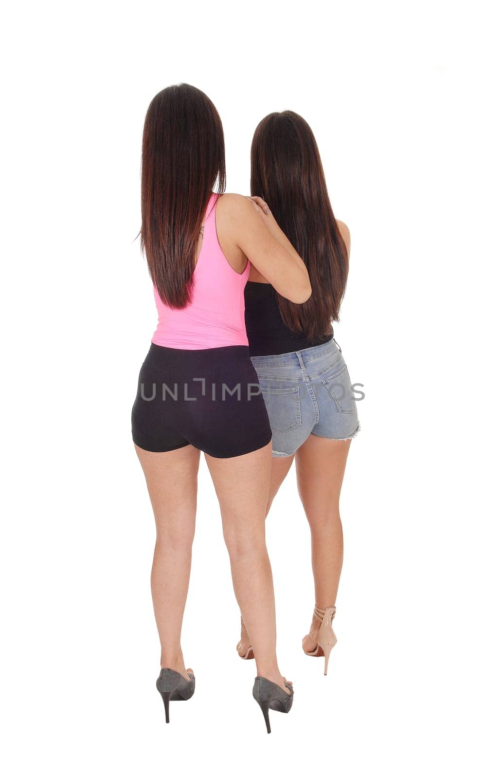 Two slim young woman standing in shorts from the back .whit there long brunette hair, isolated for white background.