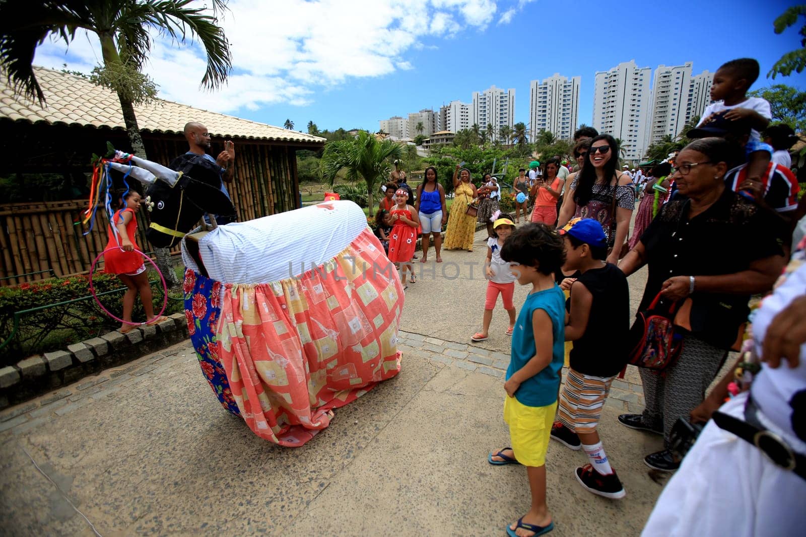 salvador, bahia / brazil - october 15, 2017: people follow presentation of the focolica manifestation of Bumba Meu Boi at the Metropolitan Parade of Pituacu in the city of Salvador.