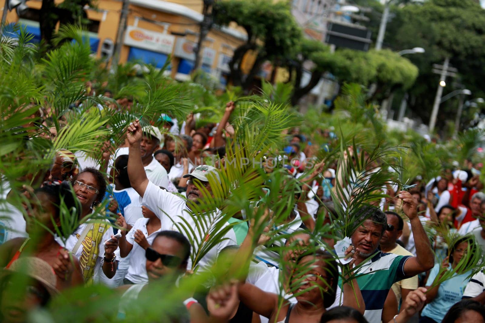 salvador, bahia / brazil - march 29, 2015: Catholics are seen carrying palm branches during Ramos procession in the city of Salvador. The Christian feast, celebrated on the Sunday before Easter, symbolizes the entry of Jesus Christ into Jerusalem..