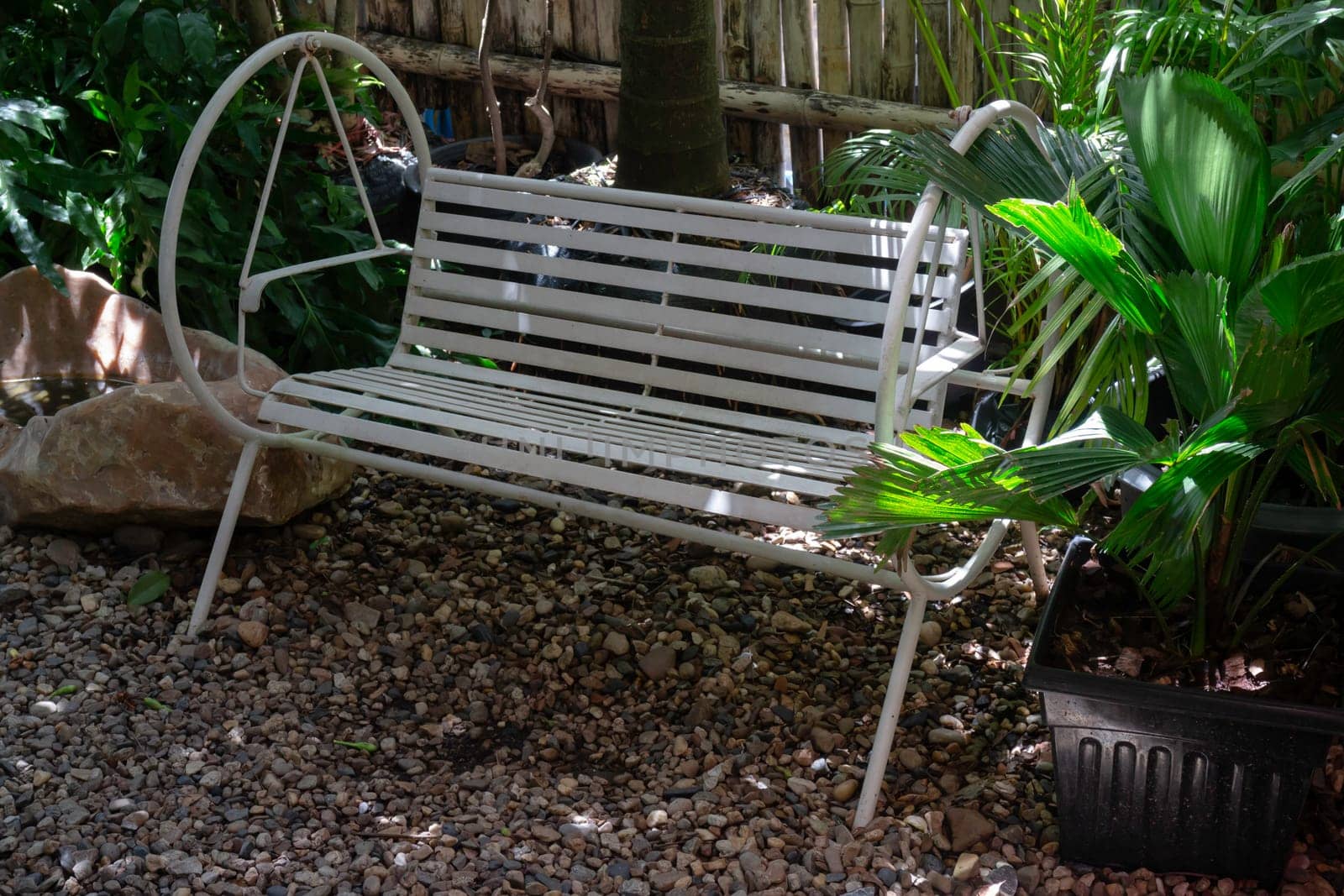 Beautiful green leaves plant in resort garden, stock photo