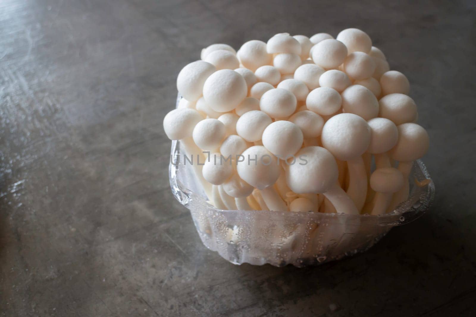 Raw shimeji mushroom for asian cuisine, stock photo