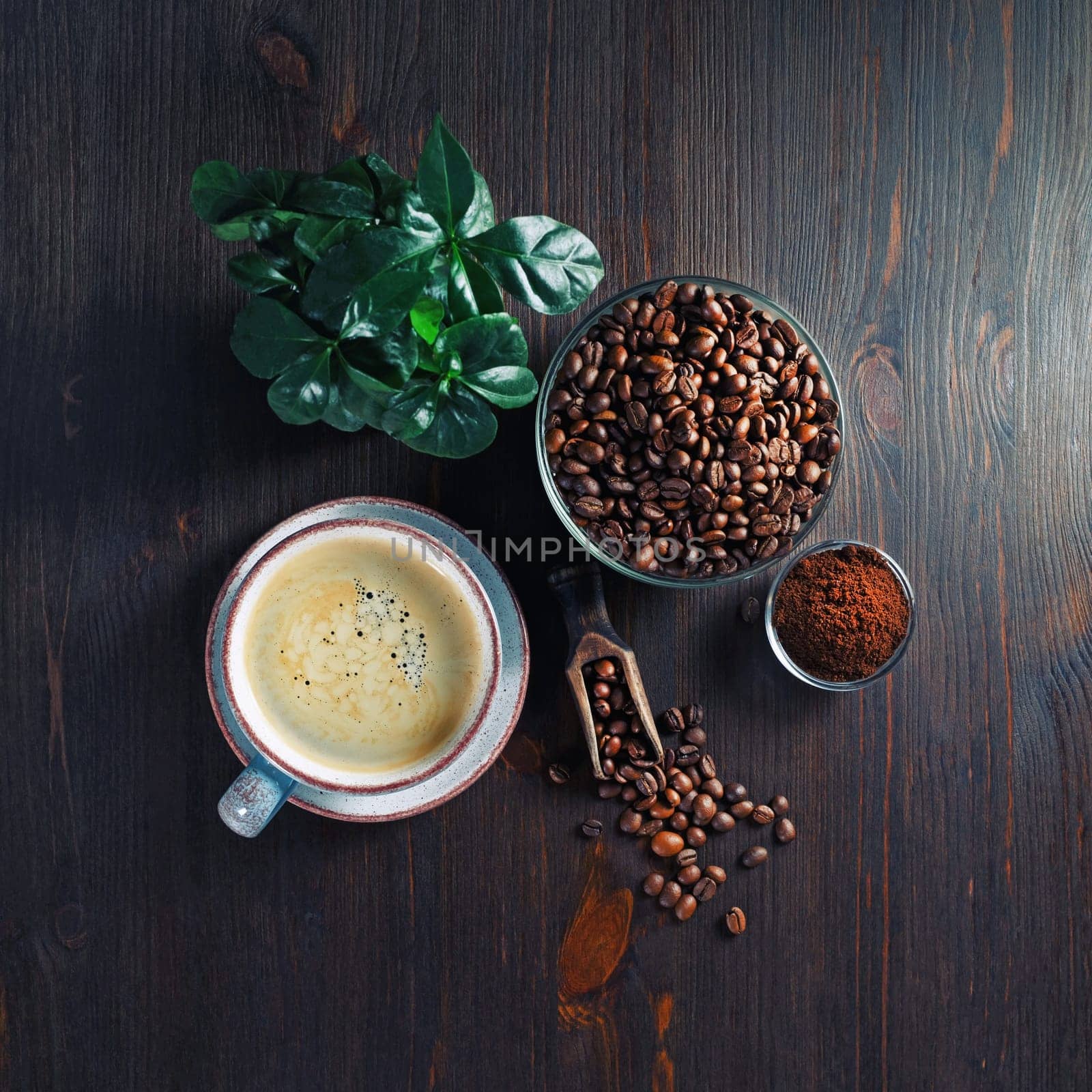 Still life with coffee cup, roasted coffee beans, plant and ground powder on wooden kitchen table background. Flat lay.