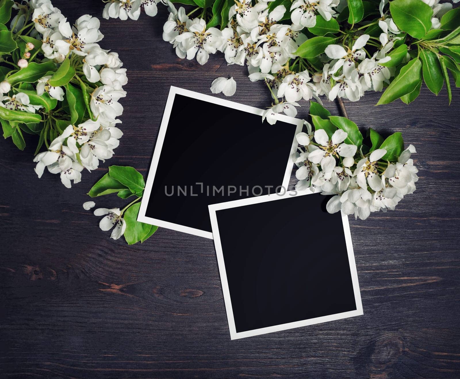Two blank square photo frames with spring flowers on wooden background. Top view. Flat lay.