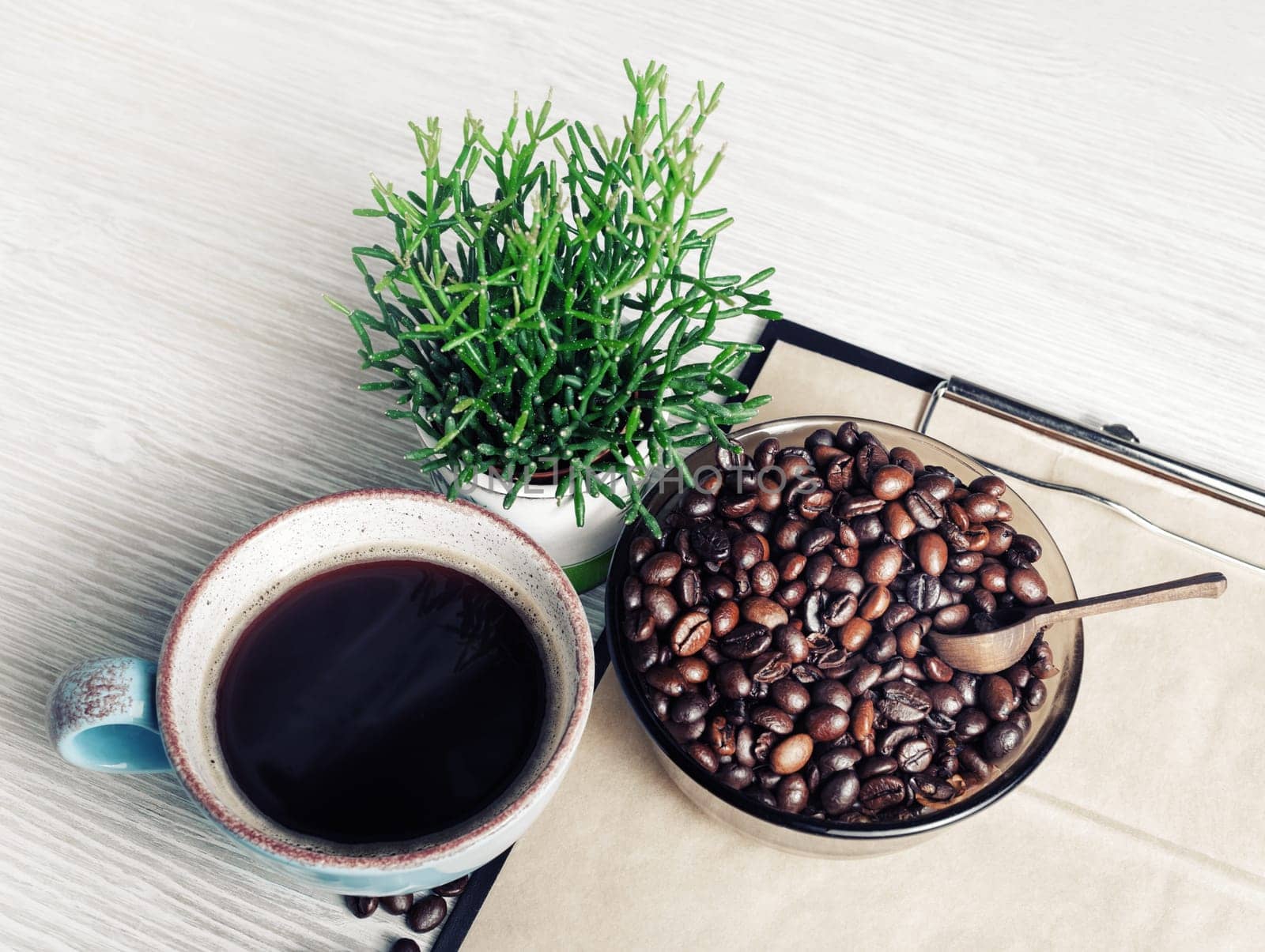 Still life with coffee. Coffee cup, plant and coffee beans.