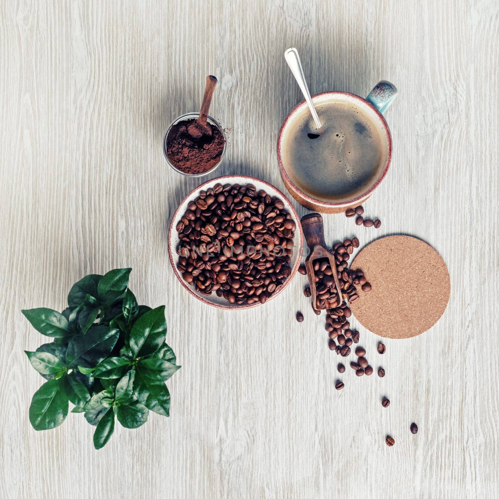 Still life with coffee cup, coffee beans, plant, ground powder and beer coaster on light wood table background. Top view. Flat lay.