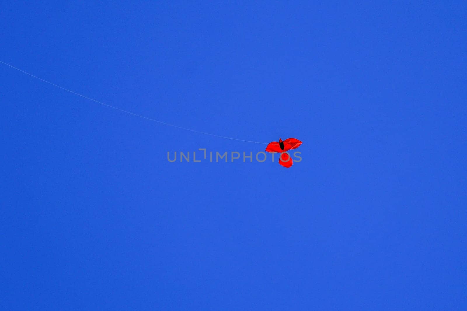 Kite on background of dark blue sky. Red kite on dark blue sky. Space for your text.